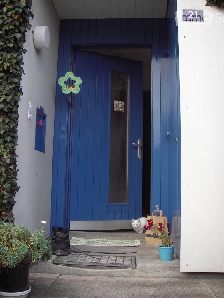 Front entrance with a blue door, a small doormat, a potted plant, and a cat near the door.