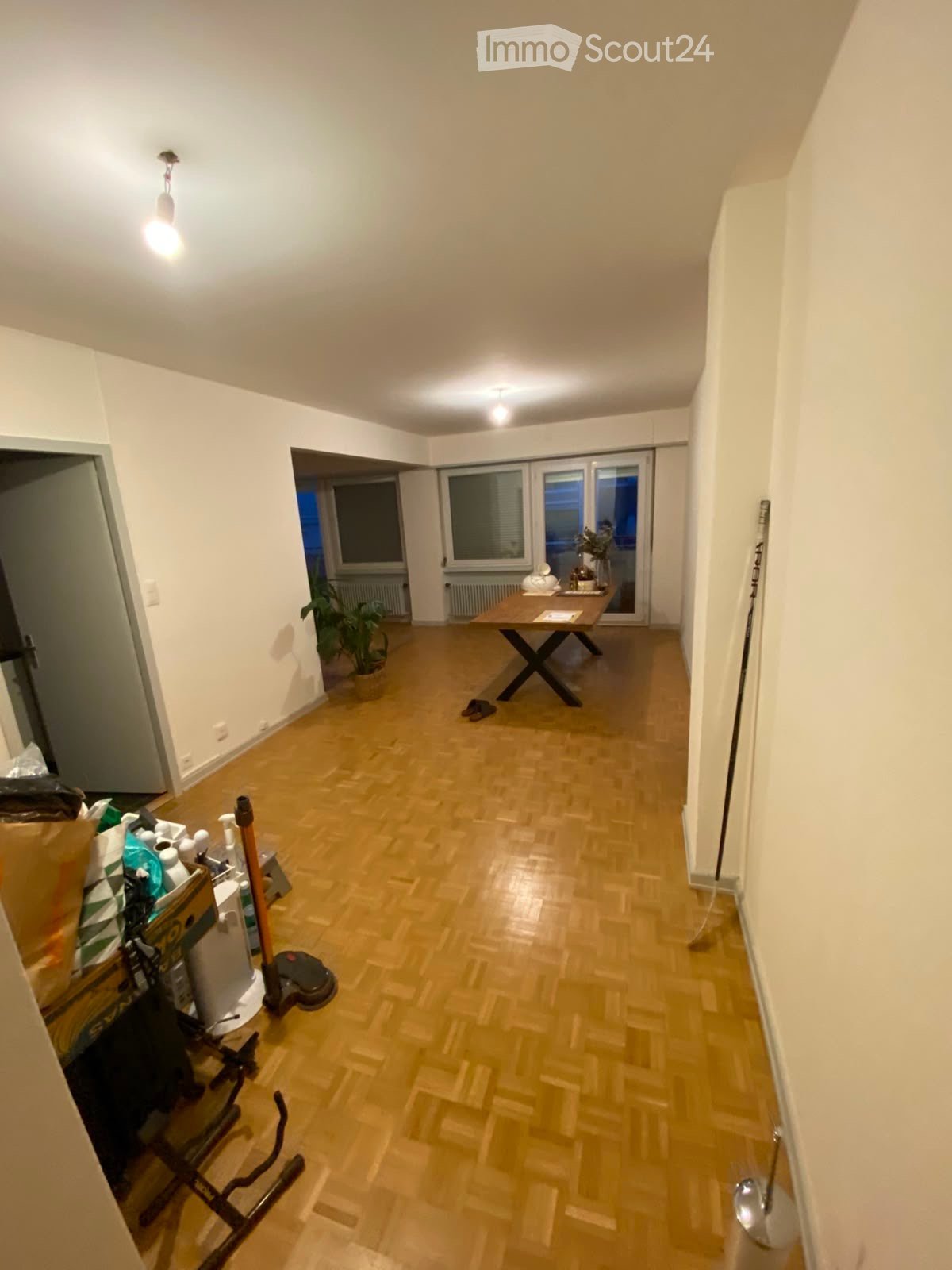 A well-lit hallway with wooden flooring, a small table with a plant, and a vacuum cleaner near the entrance.