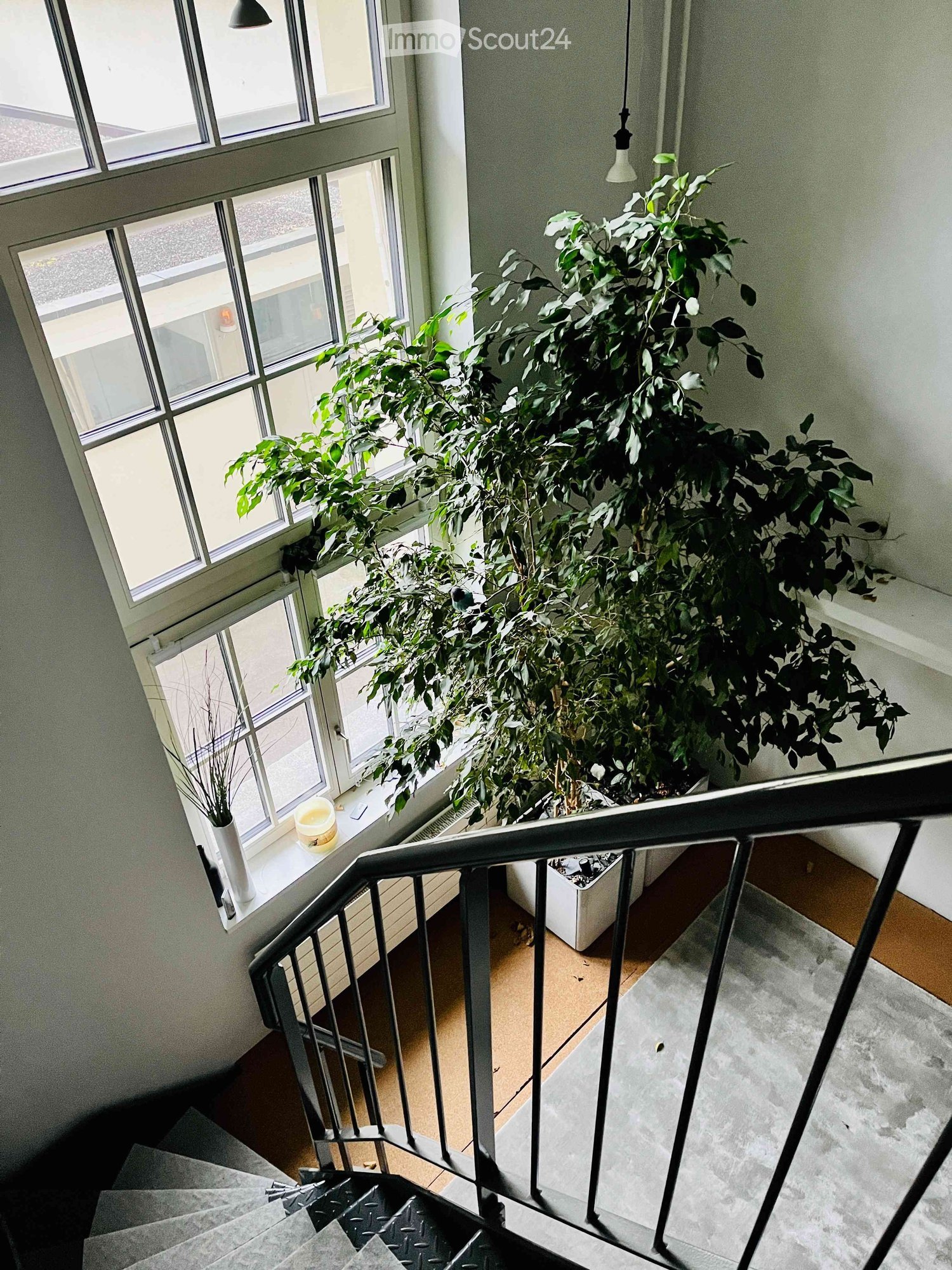 Staircase with a large potted plant on the landing, modern railing, and large windows allowing natural light.