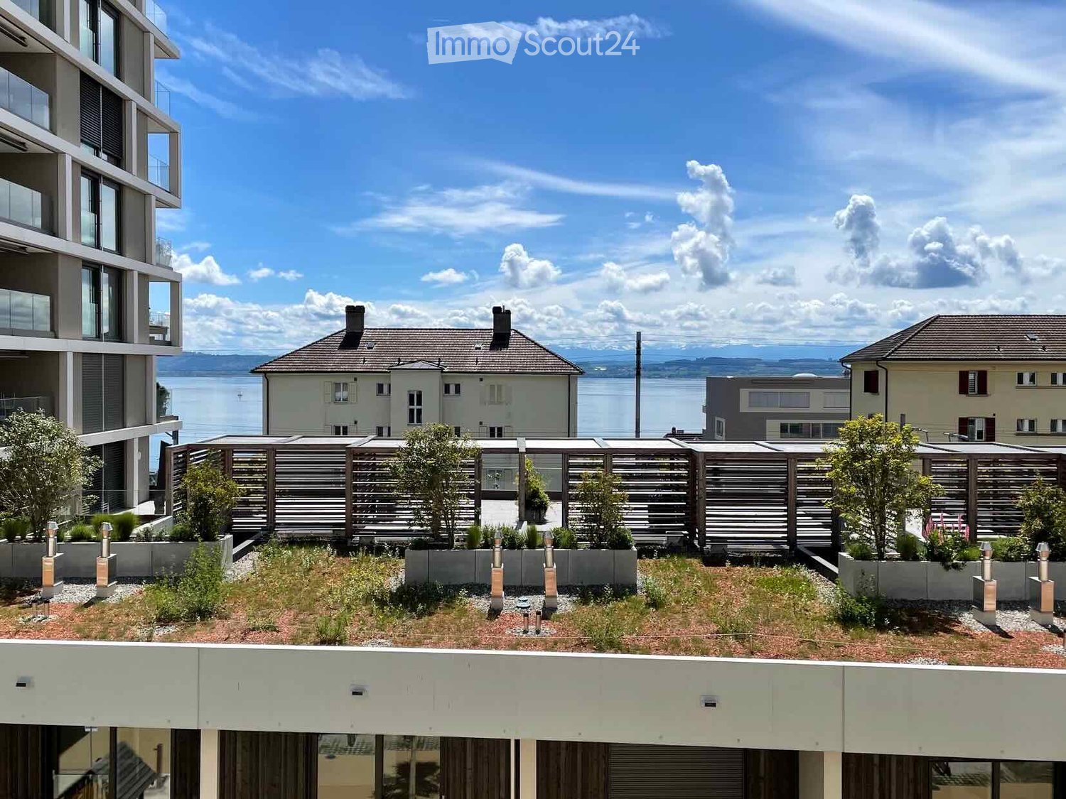 Rooftop garden with low shrubs, small trees, and a wooden fence, overlooking a body of water and surrounding buildings.