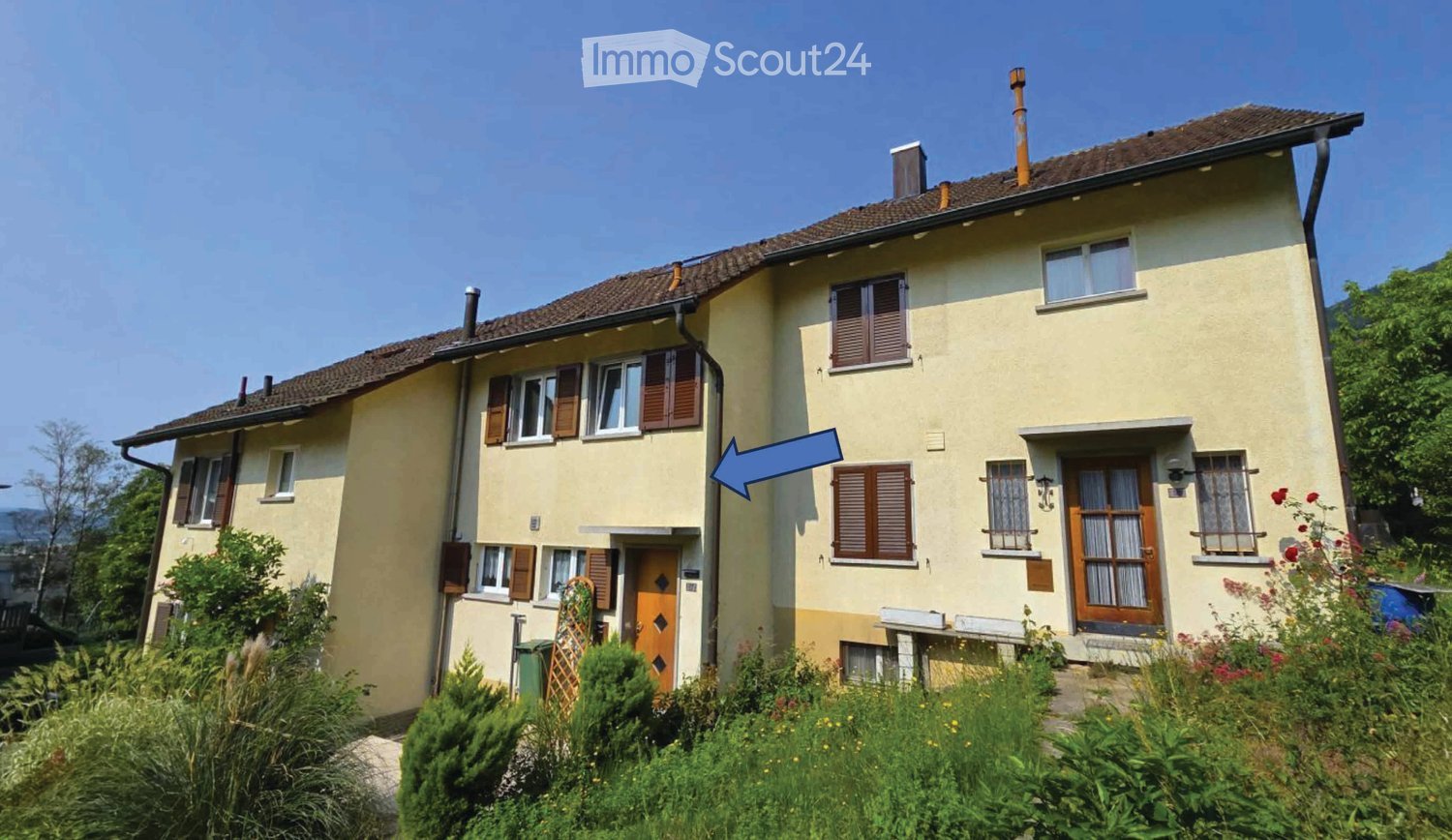 2 story house, yellow exterior, wooden windows, brown roof, large windows, several chimneys, garden, plants
