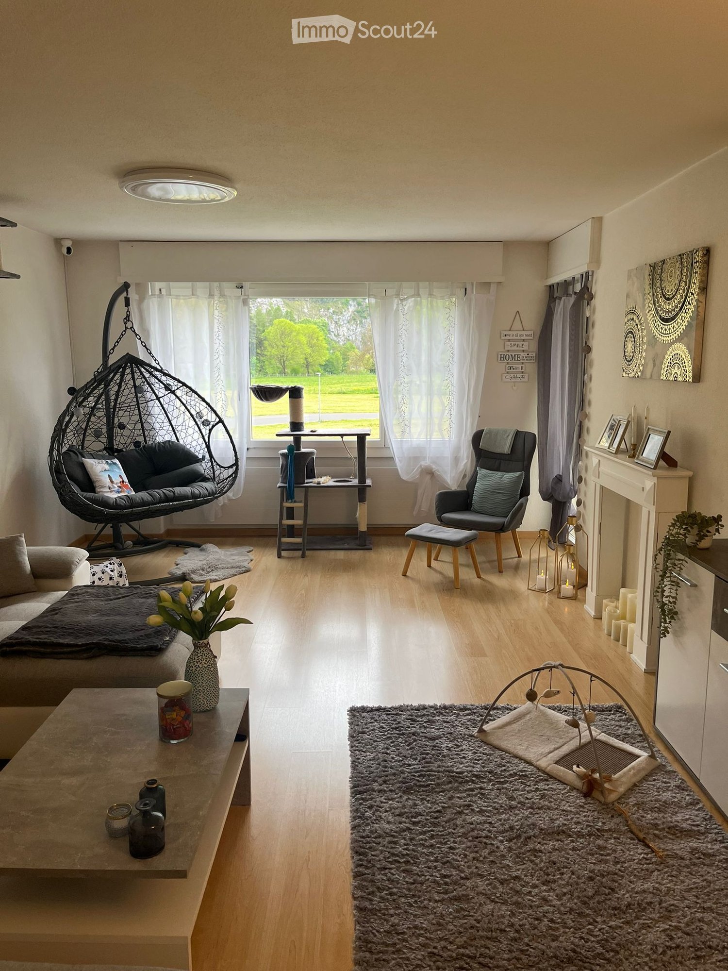 Bright living room with wooden flooring, large windows, a sofa, coffee table, wicker hanging chair, cat tree, armchair, and decorative items.