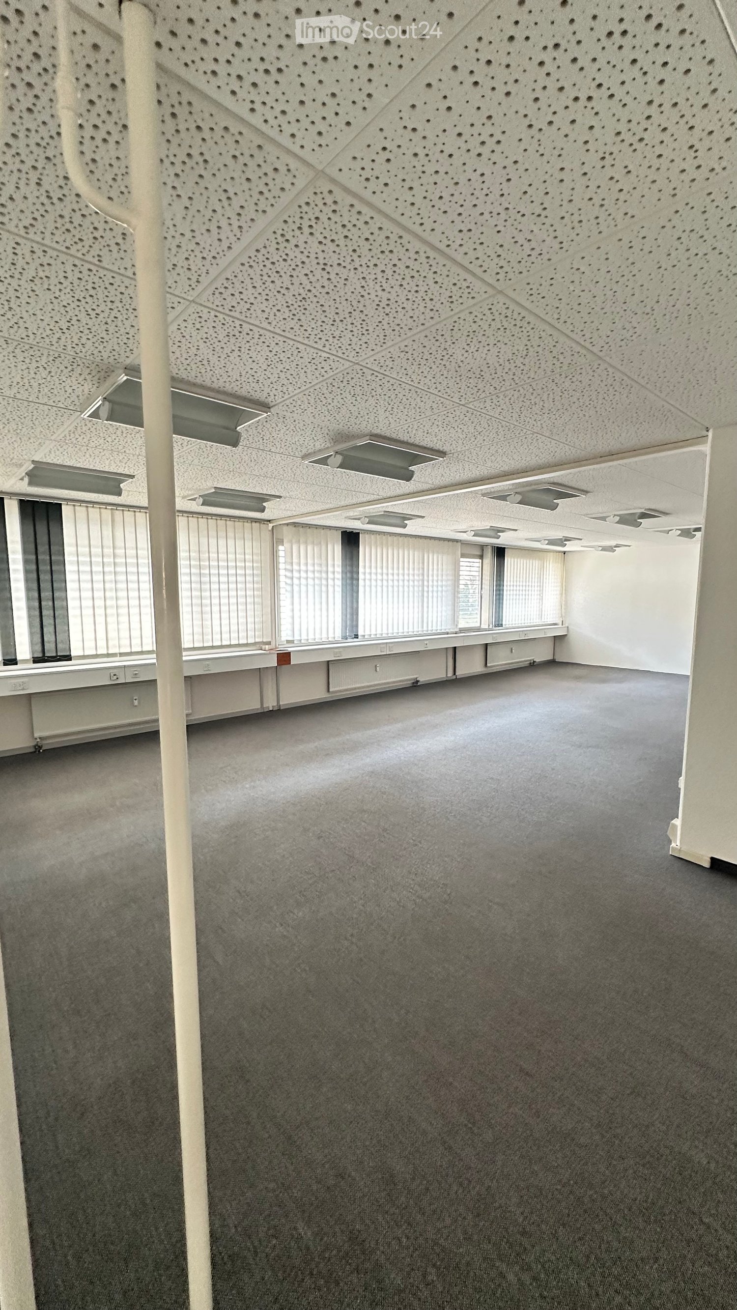 Empty room with grey carpet, white walls, large windows with blinds, and a perforated white ceiling with recessed lighting.