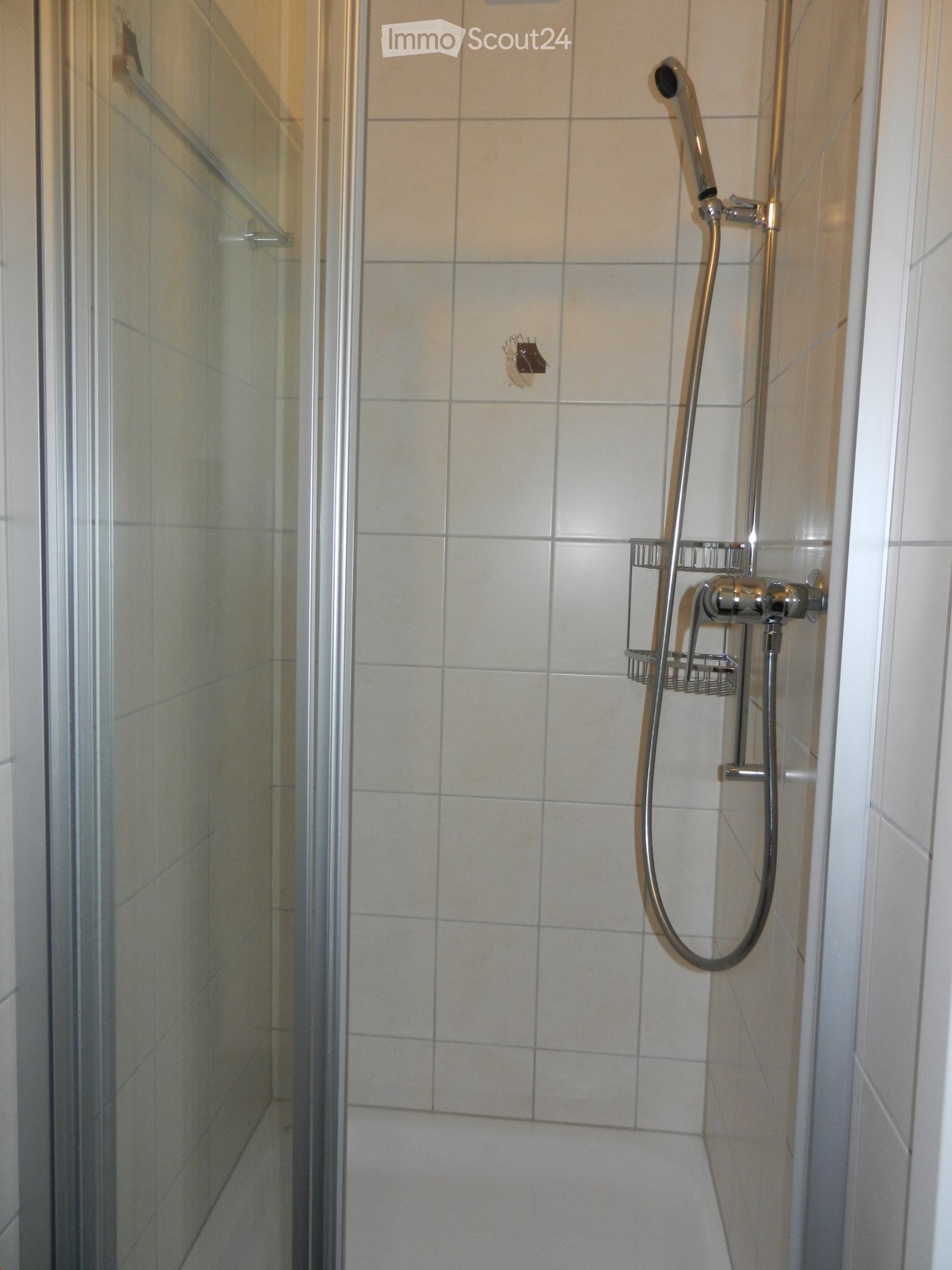Modern shower area with tiled walls, glass enclosure, and a handheld showerhead with a basket holder.