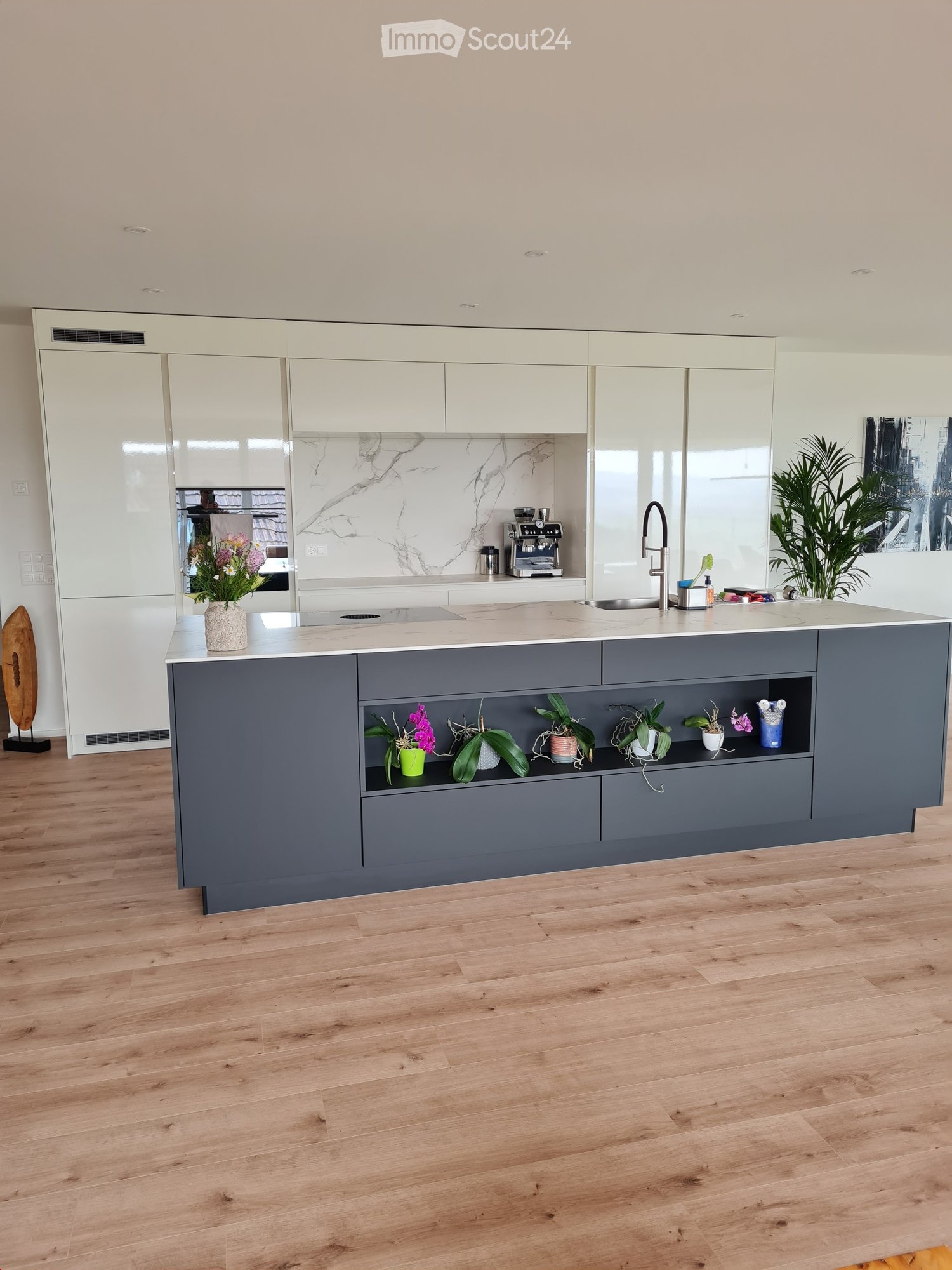 Modern kitchen with a grey island, white cabinets, marble backsplash, and wooden flooring. Features a coffee maker, sink, and decorative plants on the island and shelves.