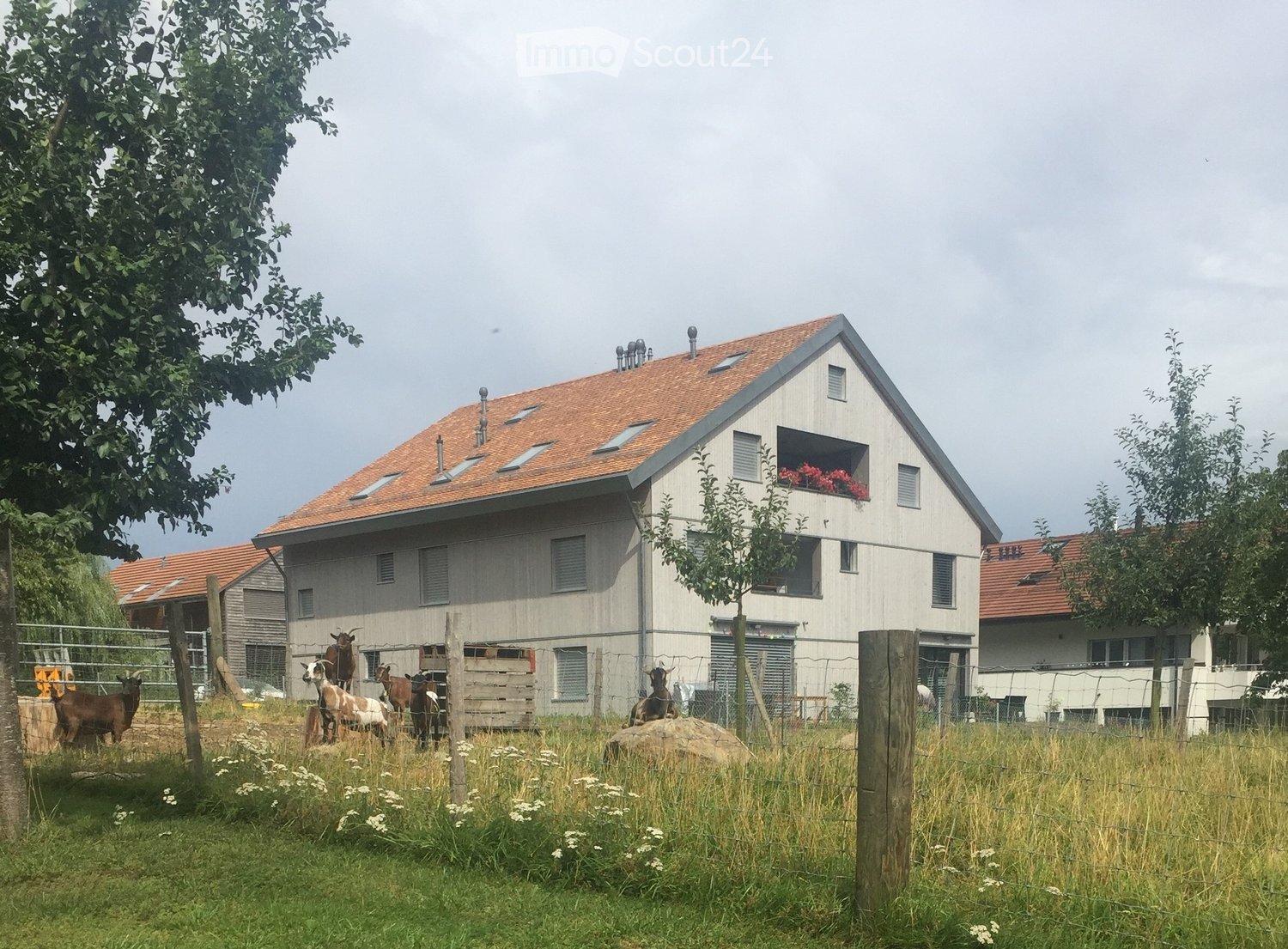 Modern two-story house with a red-tiled roof, surrounded by a fenced area with goats and a small garden.