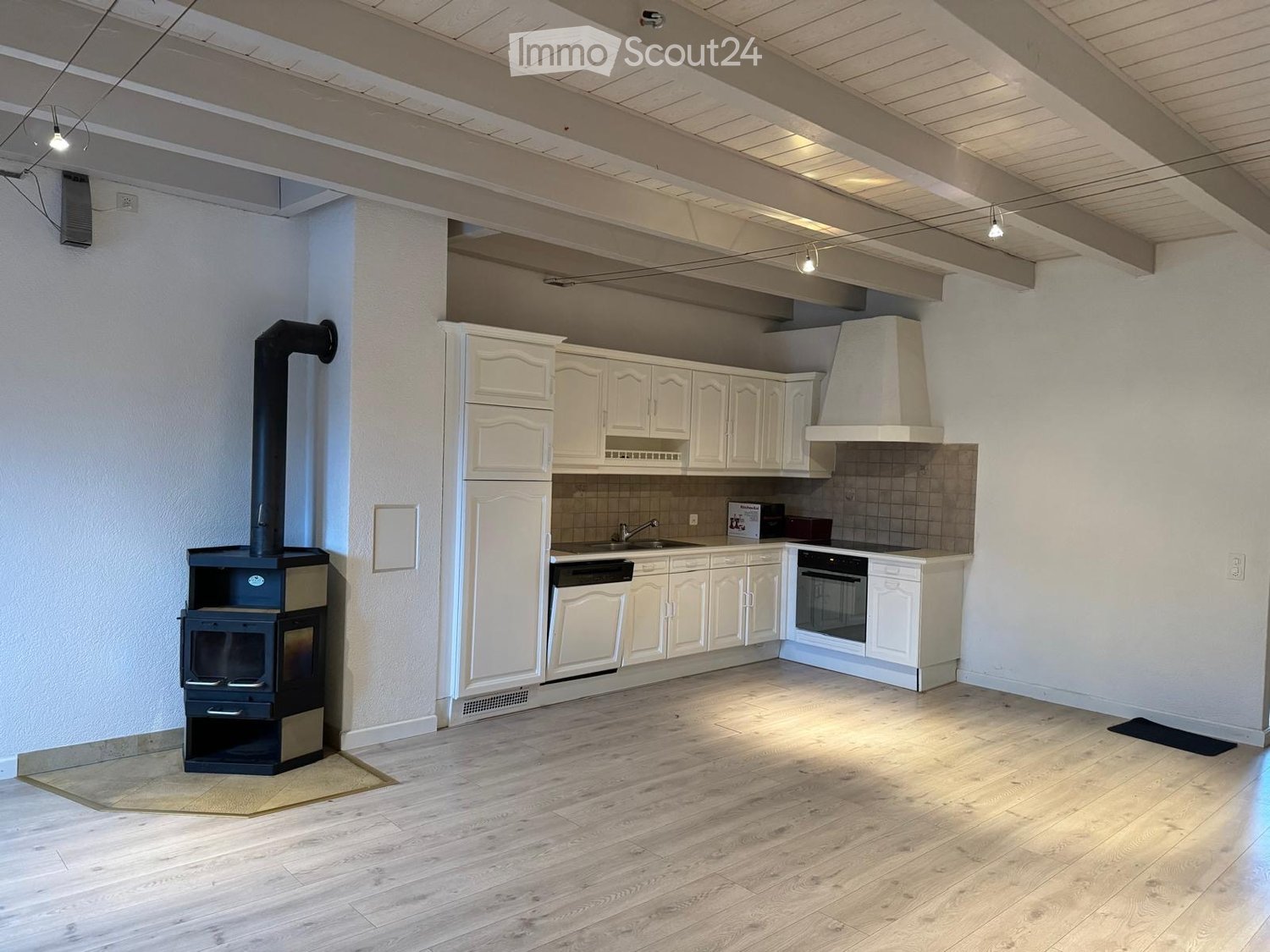 kitchen with white cabinets, wooden floor, fireplace, modern appliances