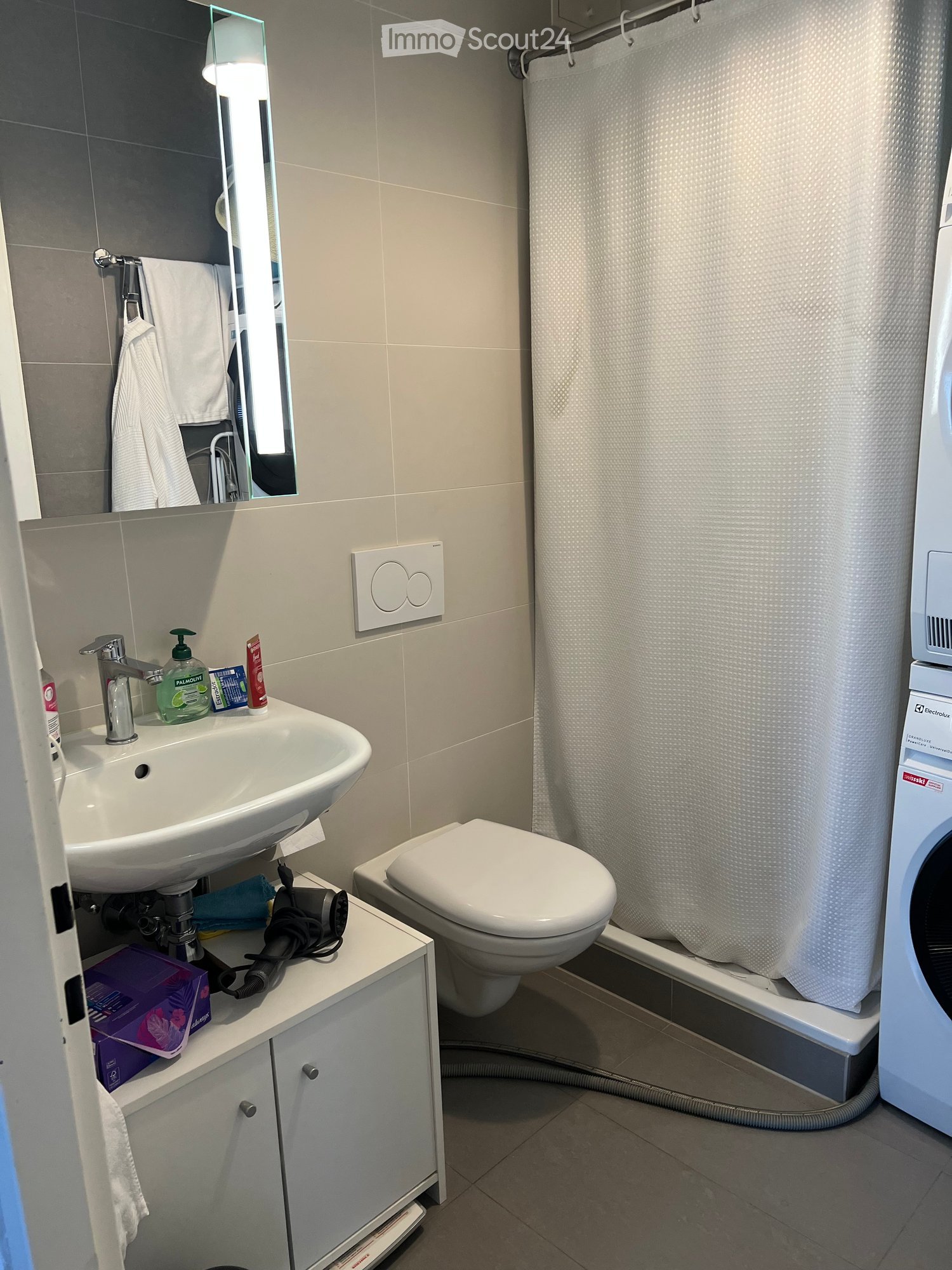 Modern bathroom with a sink, toilet, mirror, and washing machine. Includes a towel, hair dryer, and personal care items on the sink counter.