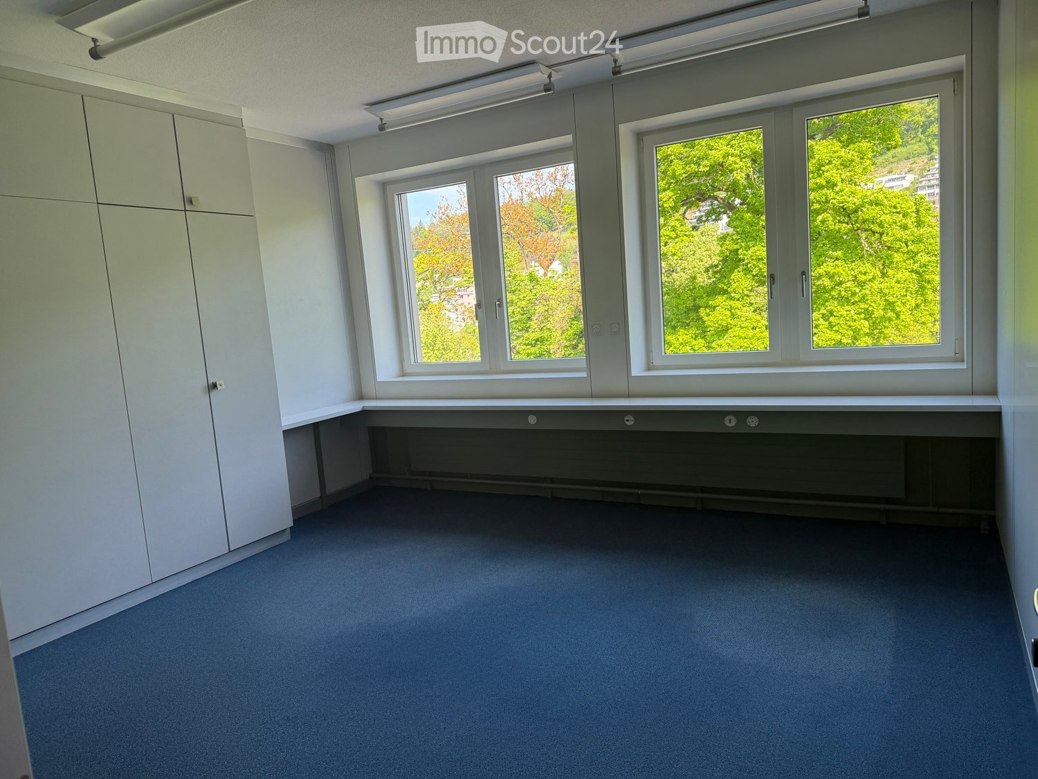 Empty room with light grey walls, blue carpet, large windows with white frames, and built-in white cabinetry on one side.