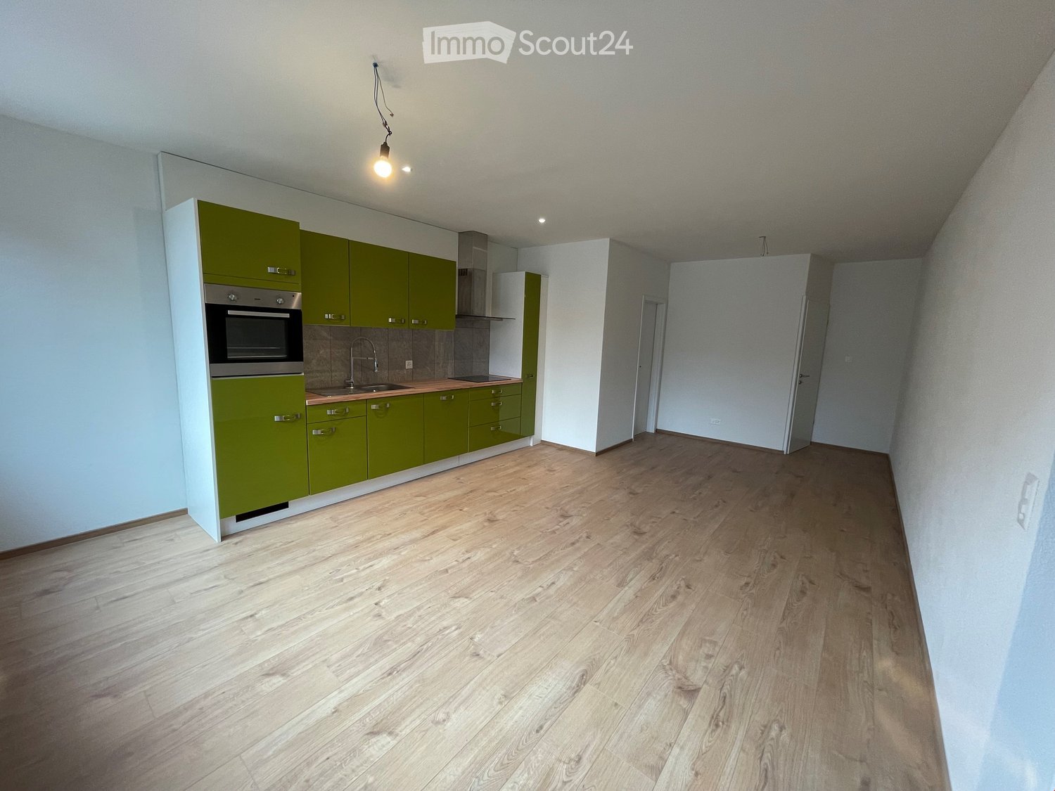 Modern kitchen with green cabinets, wooden flooring, and stainless steel appliances including an oven and sink.