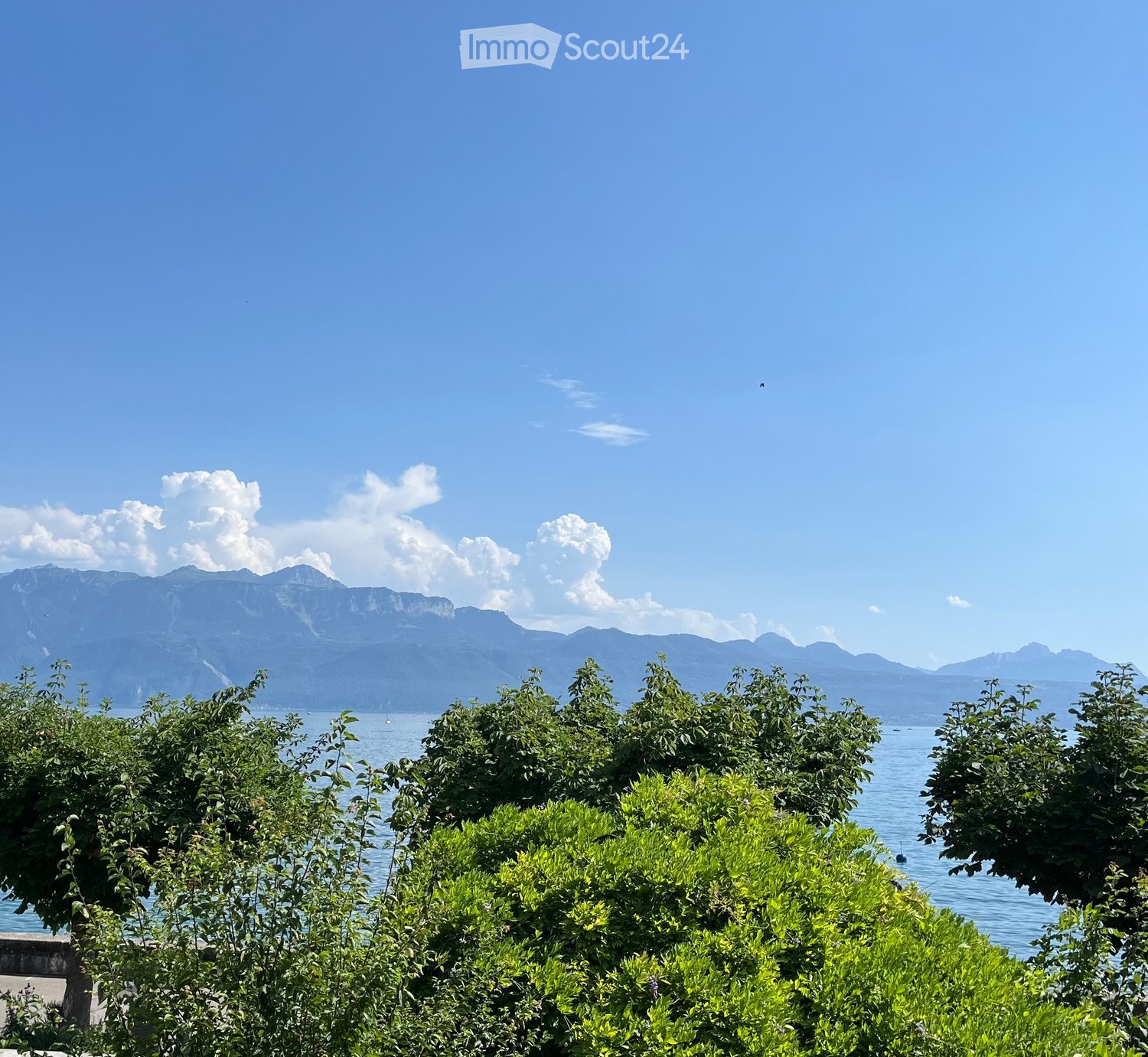 A serene garden view overlooking a lake with distant mountains, surrounded by lush green bushes and trees.