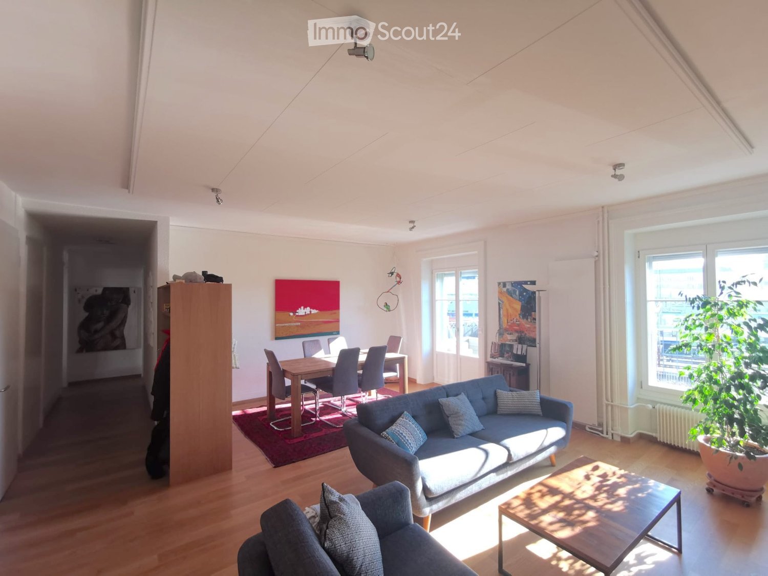 Bright living and dining area with wooden floors, large windows, a blue sofa, coffee table, dining table with chairs, and a potted plant near the window.