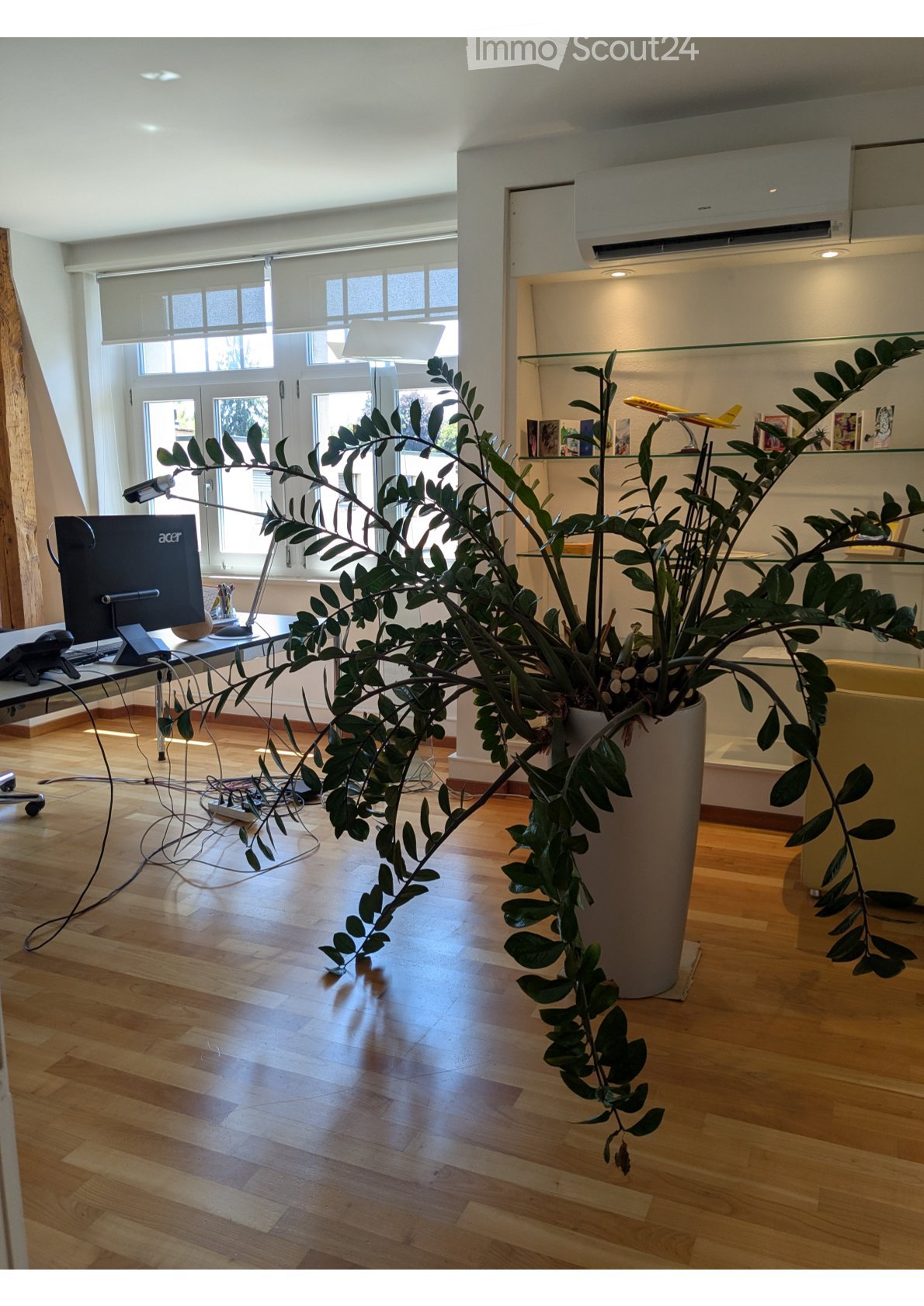 A modern, well-lit room with wooden flooring, large windows, a tall potted plant, a desk with a computer, and a lamp.