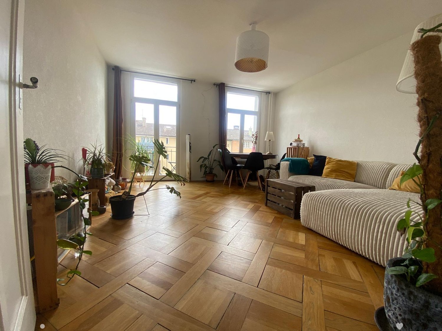 Modern living room with wooden flooring, large windows, a sectional sofa, a dining table with chairs, and several potted plants.