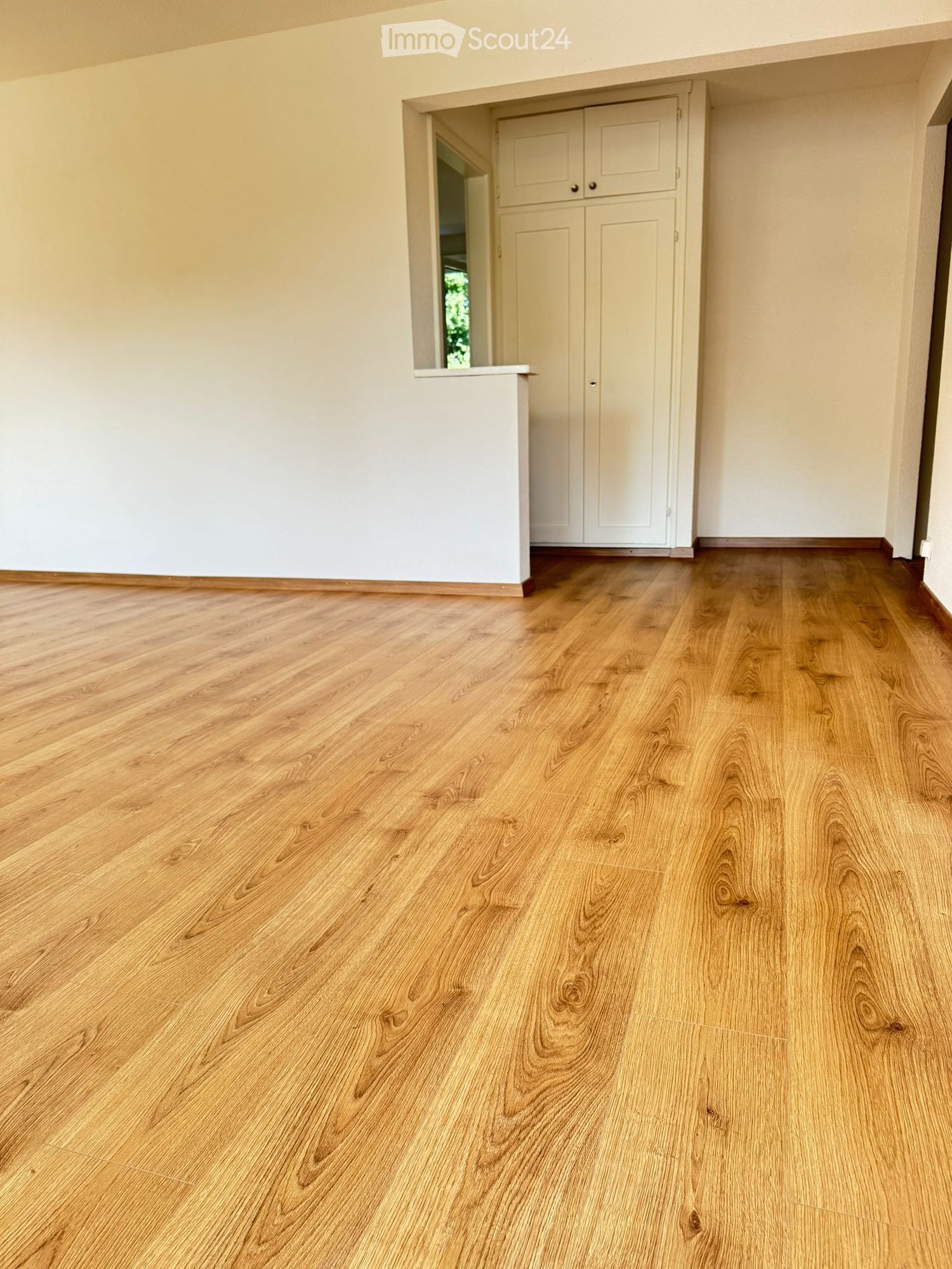 Empty room with wooden flooring, white walls, and white wardrobe
