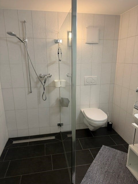 Modern bathroom with a glass-enclosed shower, toilet, and tiled walls. Features include a showerhead, shower controls, a towel rack, and a light switch.