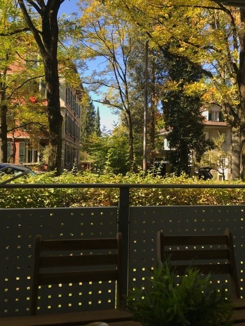 Balcony / Terrace. Balcony with wooden chairs and a decorative railing, overlooking a leafy neighborhood with trees and houses.