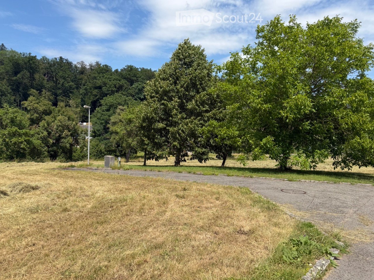 Open grassy area with scattered trees, a paved pathway, and a small utility box in the background.