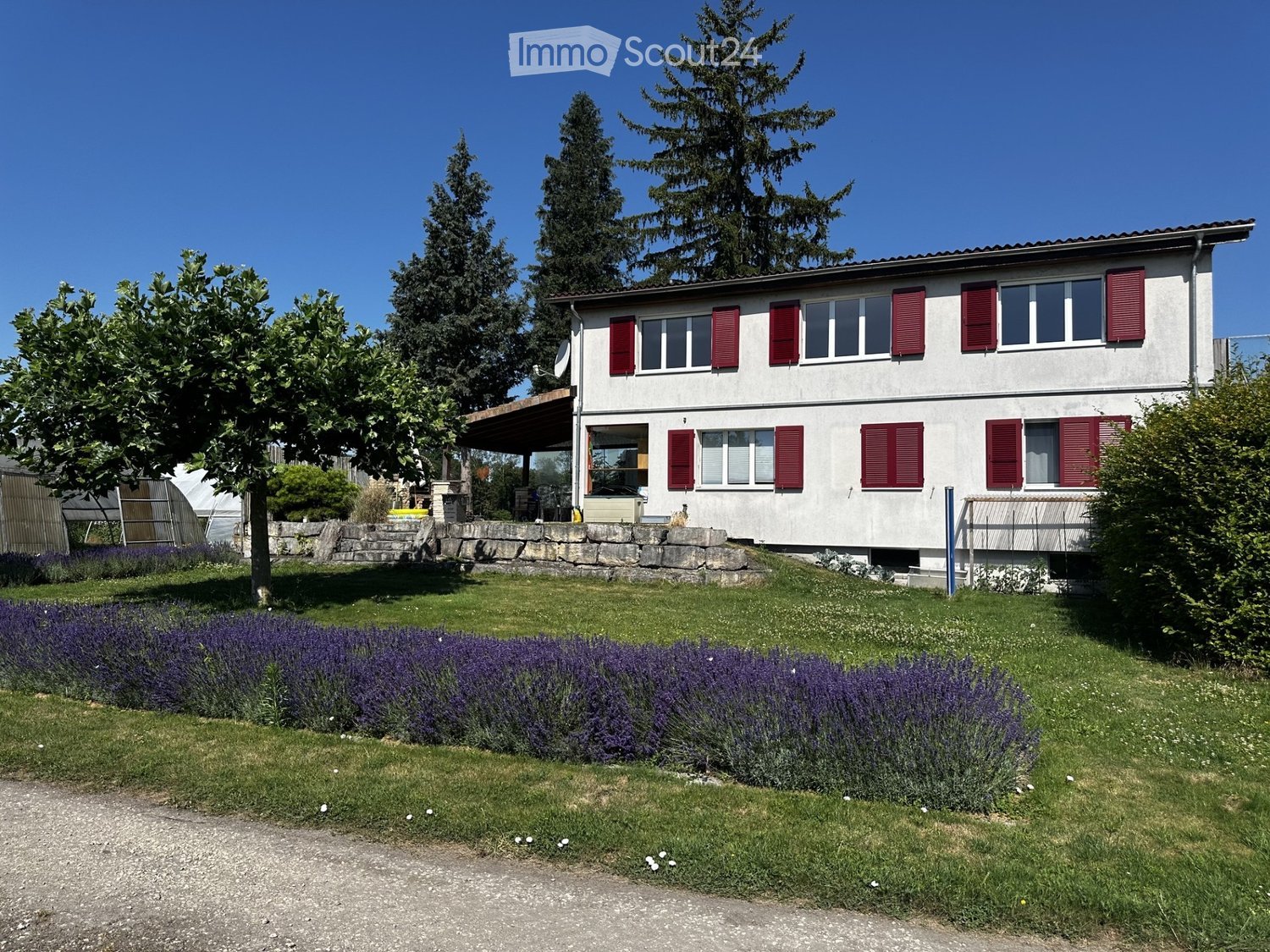 Two-story house with red shutters, surrounded by a well-maintained garden with lavender plants and tall trees.