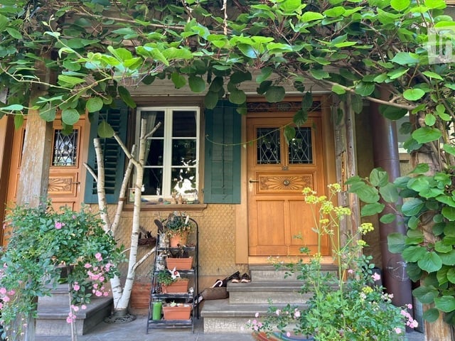 Entrance to a house with a wooden double door, green shutters, and a small porch decorated with potted plants and flowers. The area is shaded by climbing plants and features a small staircase leading up to the entrance.