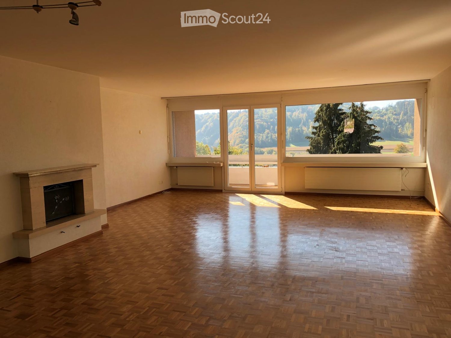 Empty room with wooden flooring, fireplace, large windows with scenic view, and radiators.
