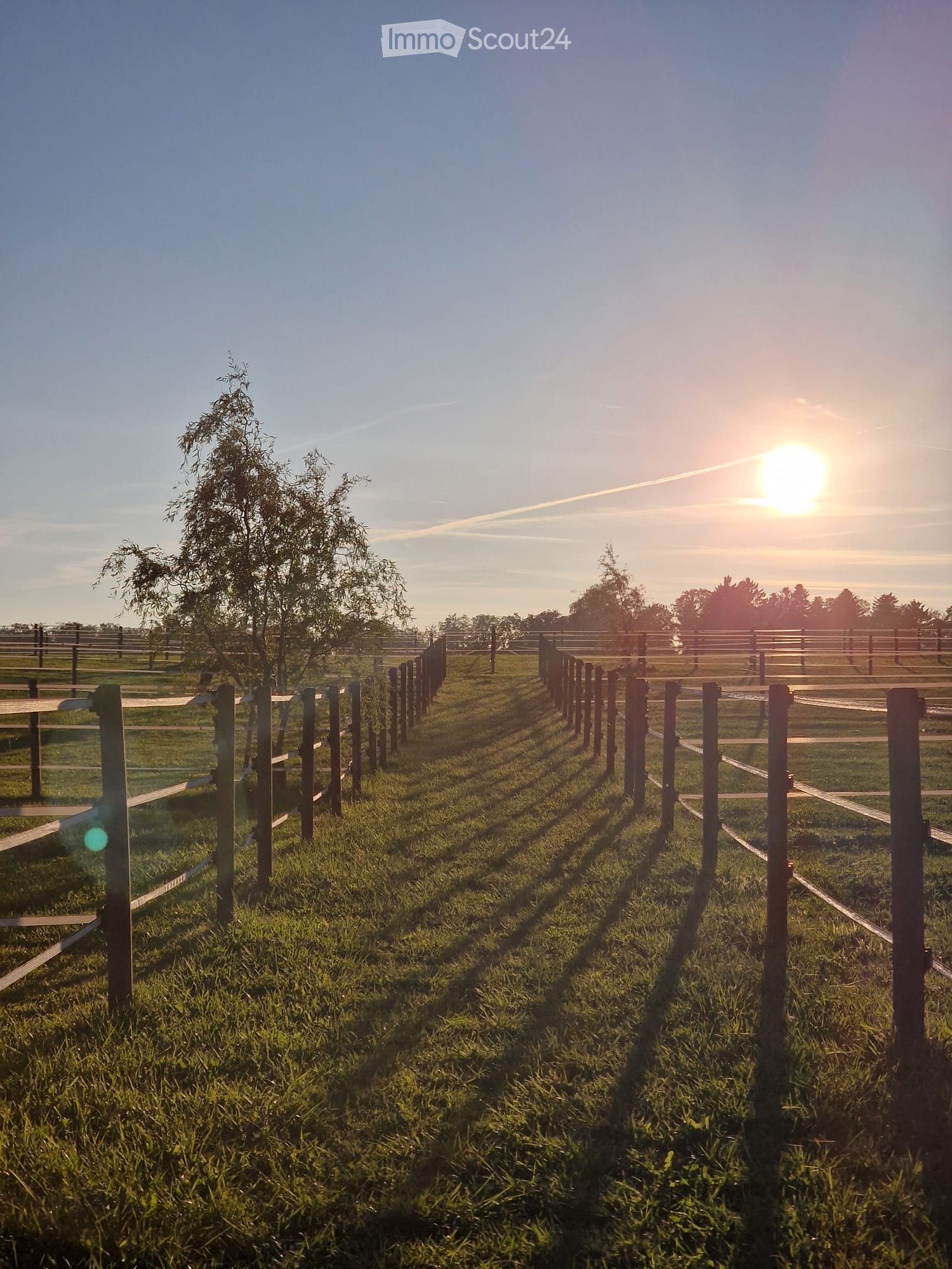 A grassy field enclosed by wooden fences, with a tree and a setting sun in the background.