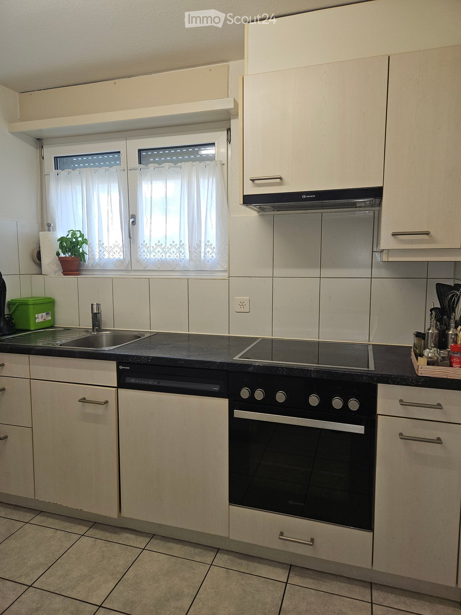 Modern kitchen with light-colored cabinets, black countertops, stainless steel sink, induction cooktop, oven, and dishwasher. A small plant sits on the windowsill.