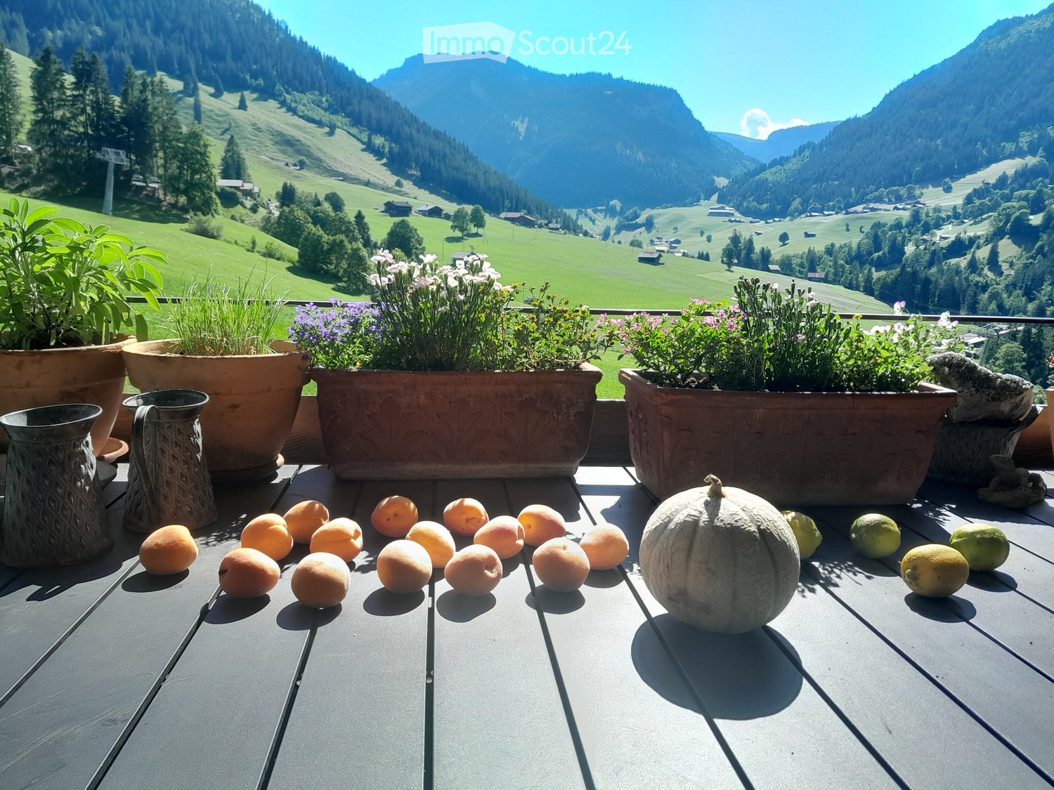 Balcony with a scenic mountain view, decorated with potted plants and a variety of fruits including apricots, a melon, and lemons.