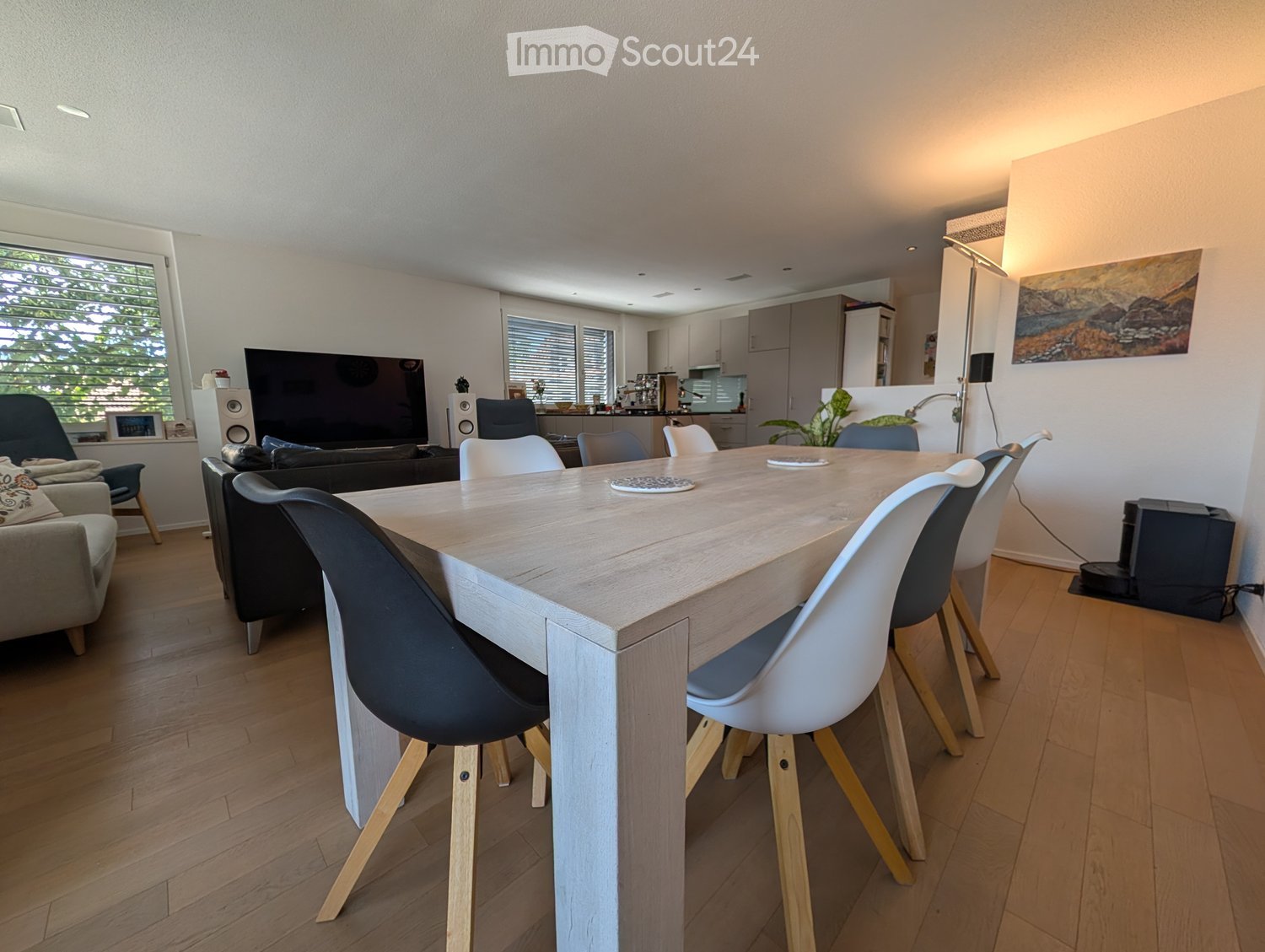 Open-plan living and dining area with a large wooden dining table, modern chairs, a sofa, and a television. The kitchen area features cabinets and a countertop.