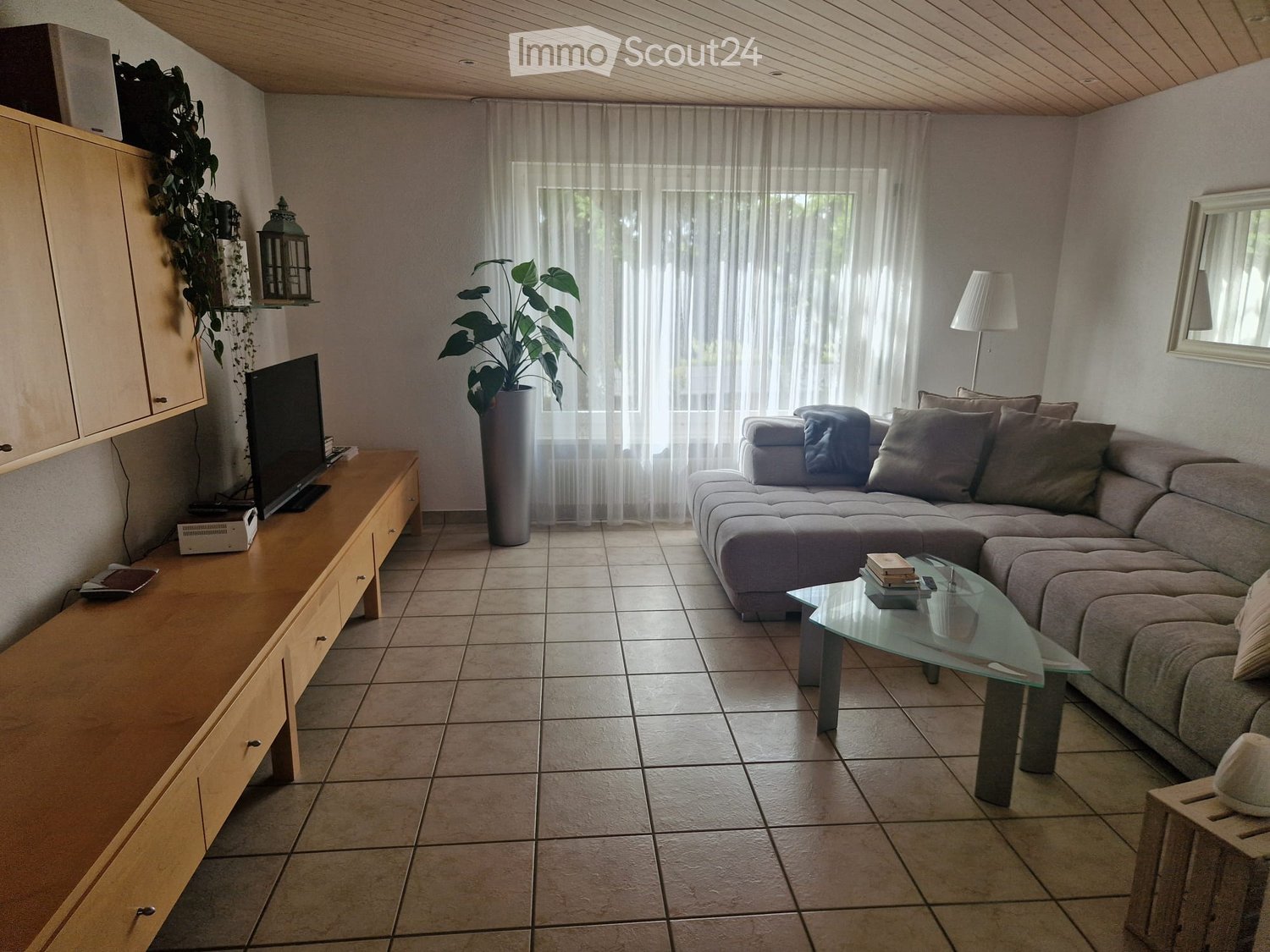 Modern living room with a grey sectional sofa, glass coffee table, flat-screen TV on a wooden cabinet, and a large plant in a grey vase. The room features tiled flooring and large windows with sheer curtains.
