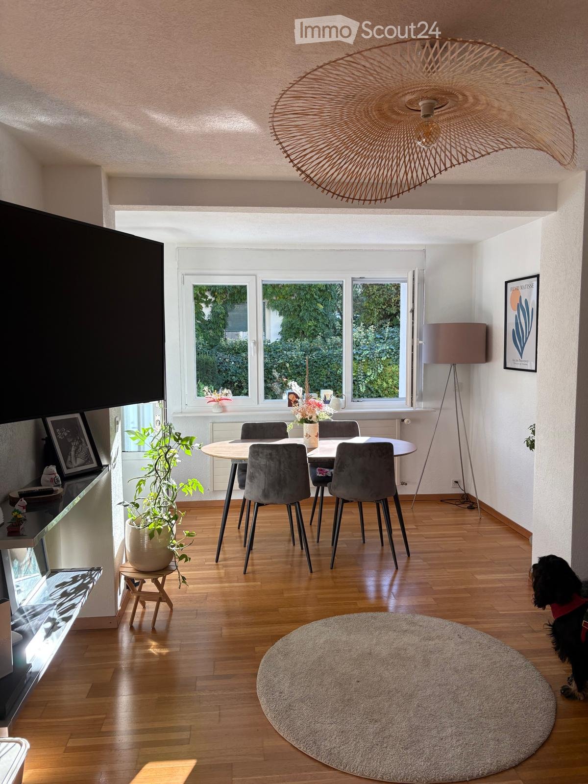 Modern living room with wooden flooring, large windows, a round dining table with six chairs, a television, a floor lamp, and a potted plant. A dog is sitting on the floor near a round rug.