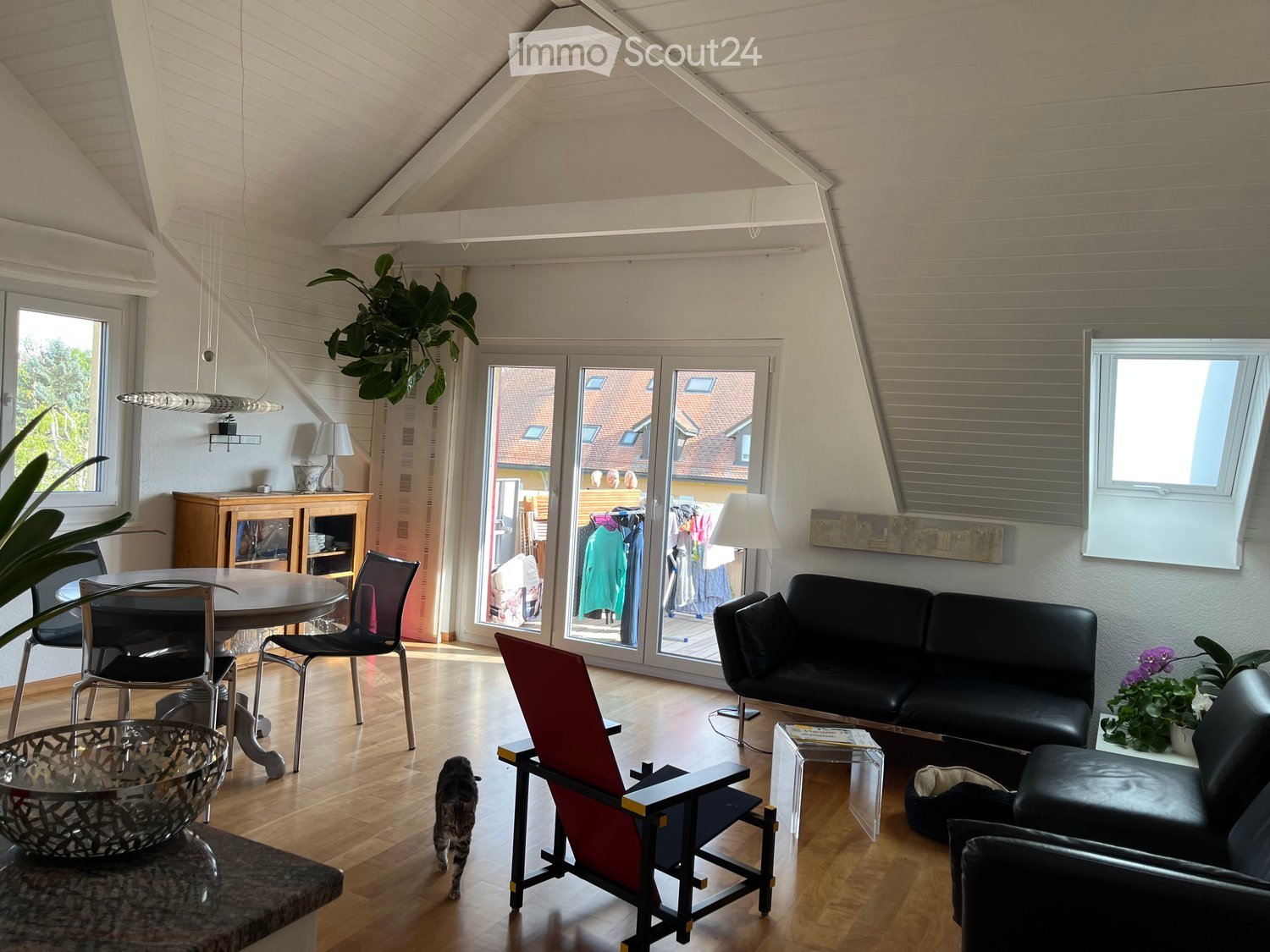 Bright living room with wooden flooring, large windows, and a black leather sofa. Features include a dining table with chairs, a hanging plant, and a cat walking around.