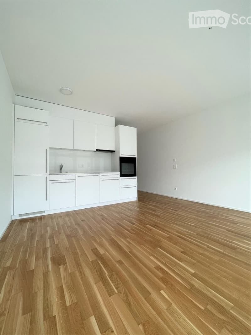 Empty room with light-colored walls, wooden flooring, and a small white kitchen area featuring cabinets and a sink.