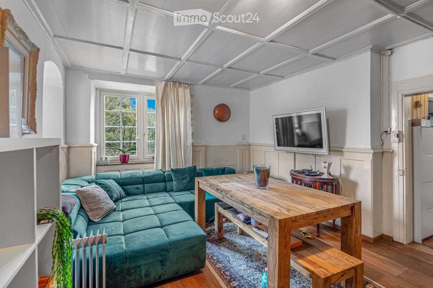 living room with a couch, wooden table, TV, rug, and a window with a potted plant