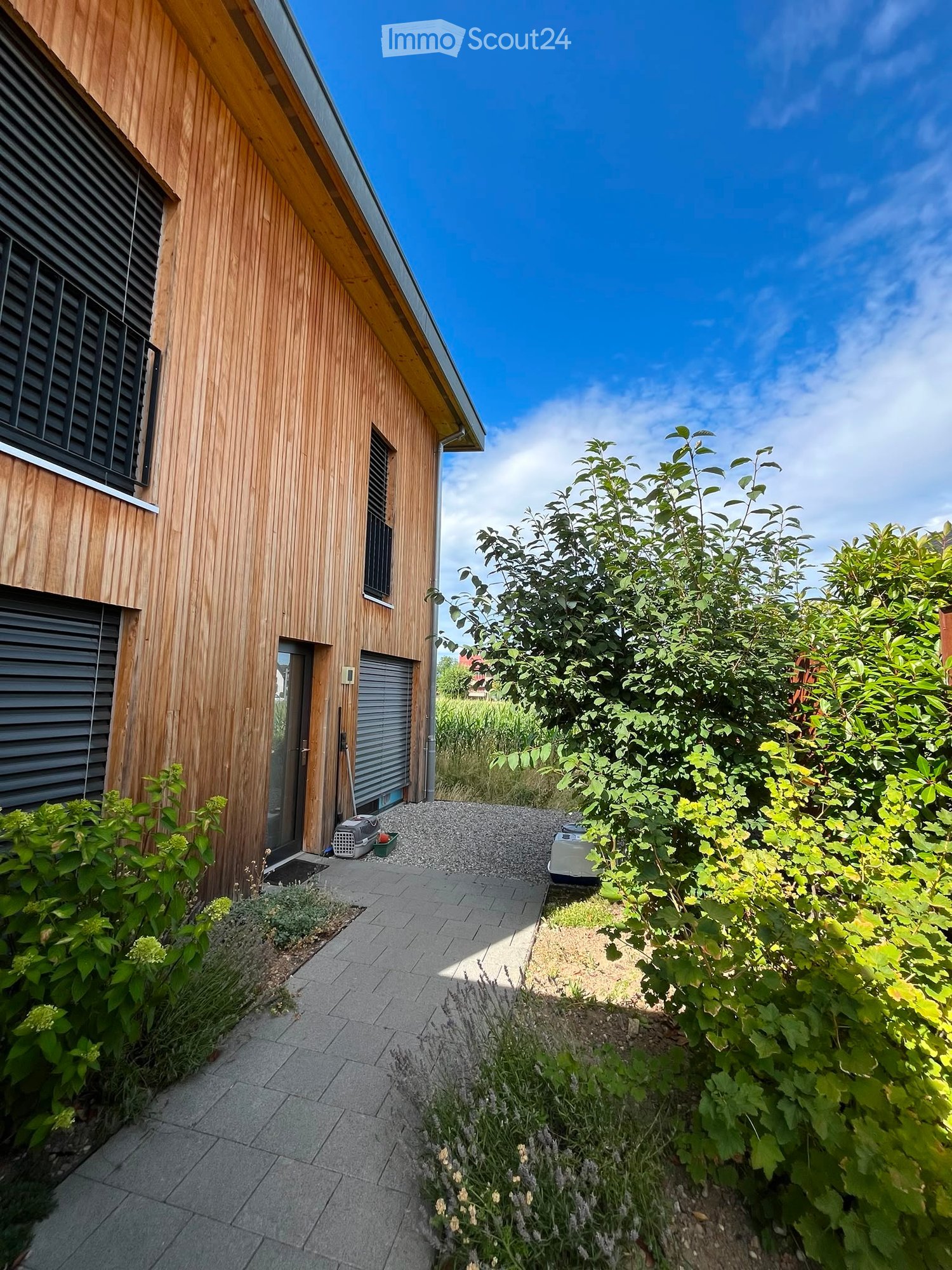 A modern wooden house with a pathway leading to the entrance, surrounded by lush greenery and plants.