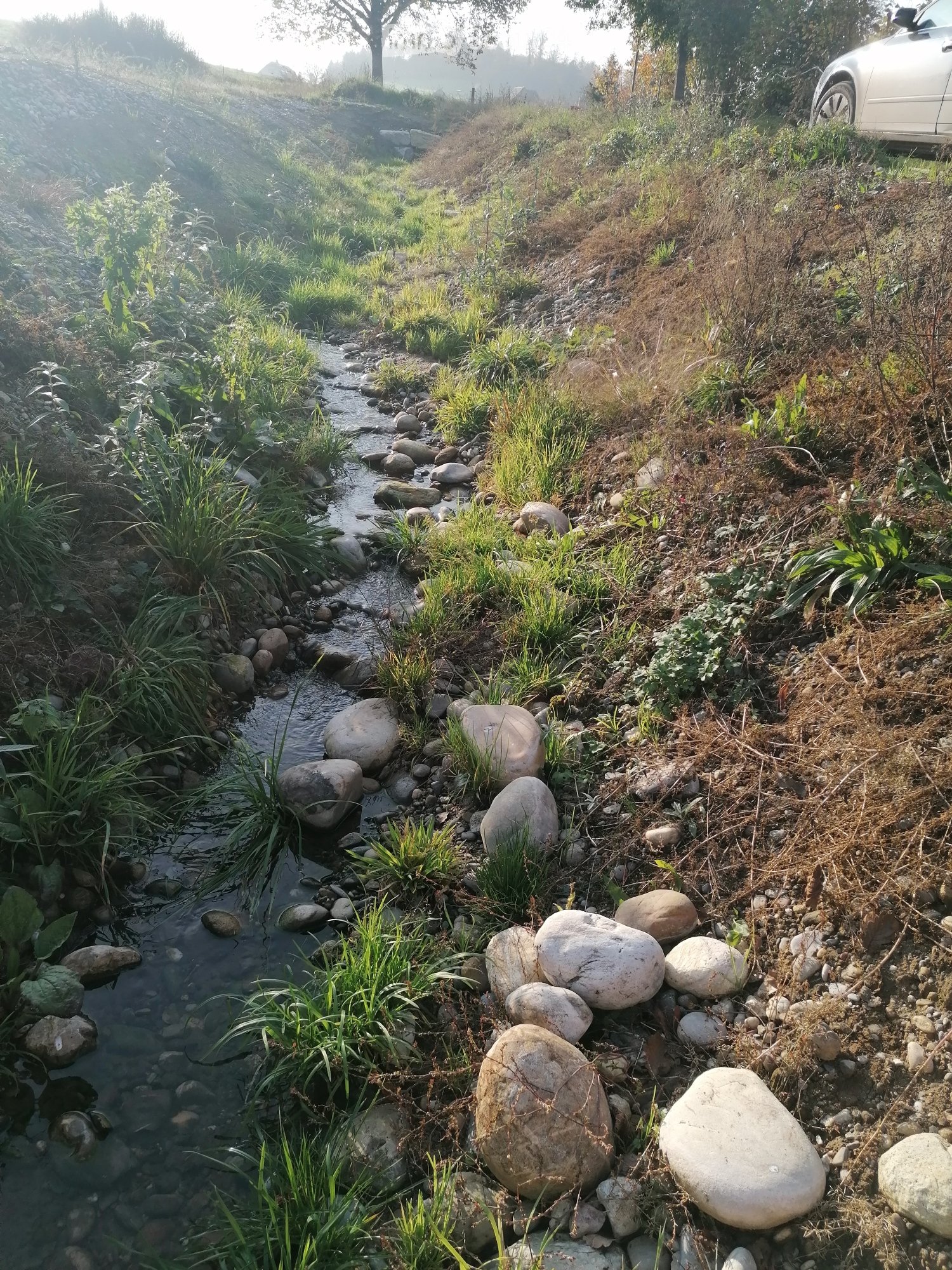 A small stream flows through a landscaped area with rocks and grass, surrounded by trees and a parked car in the background.