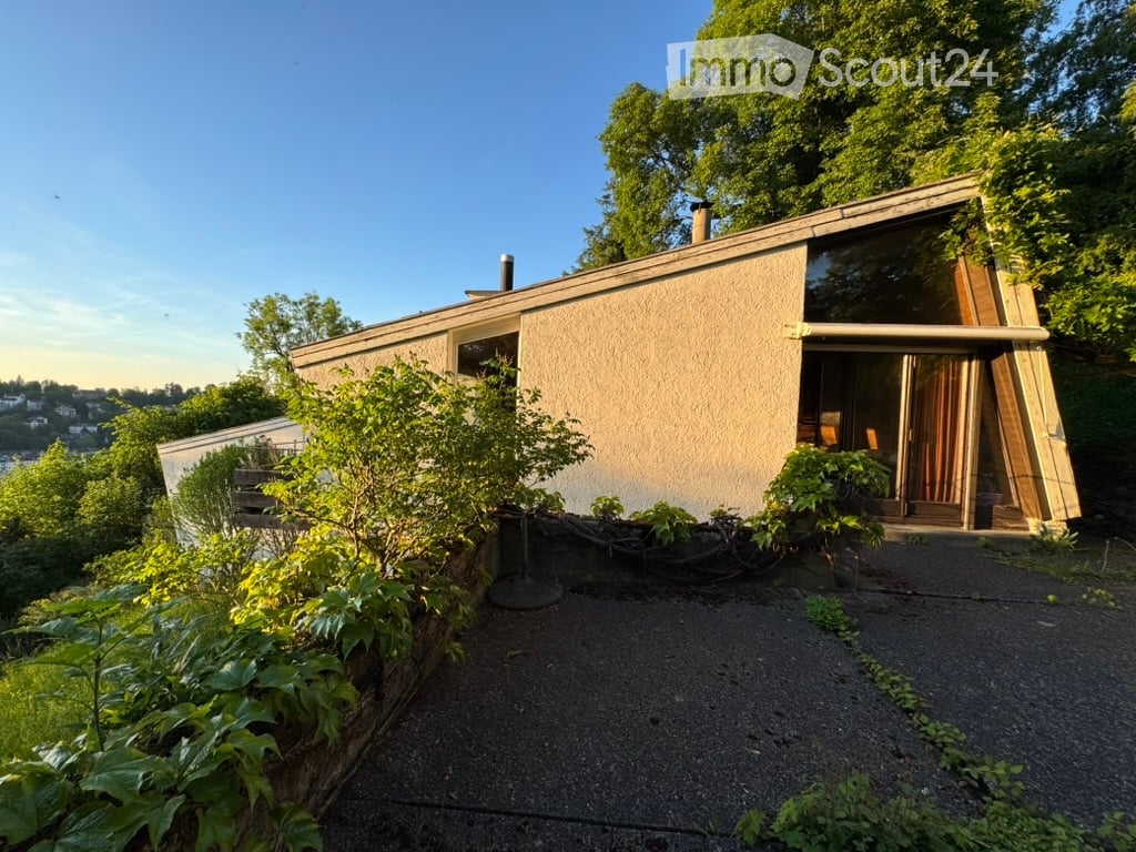 Modern single-story house with a flat roof, large windows, and a small garden area.