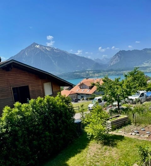 Scenic outdoor view of a wooden house surrounded by lush greenery, with a clear view of a mountain range and a lake in the background. Several parked vehicles and a small garden area are visible.