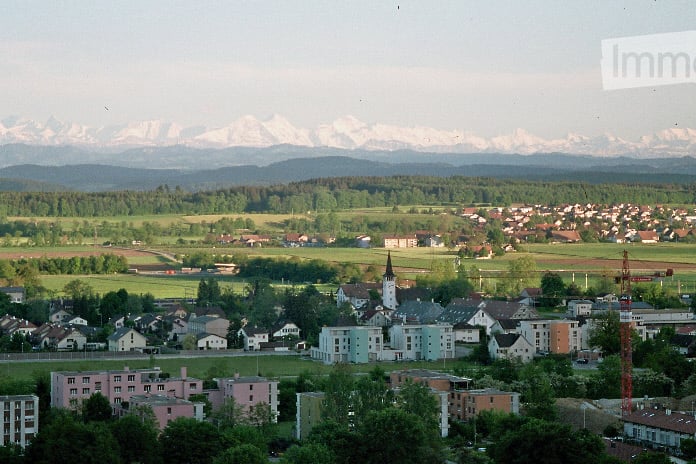 A panoramic view of a town with scattered houses, green fields, and distant snow-capped mountains.
