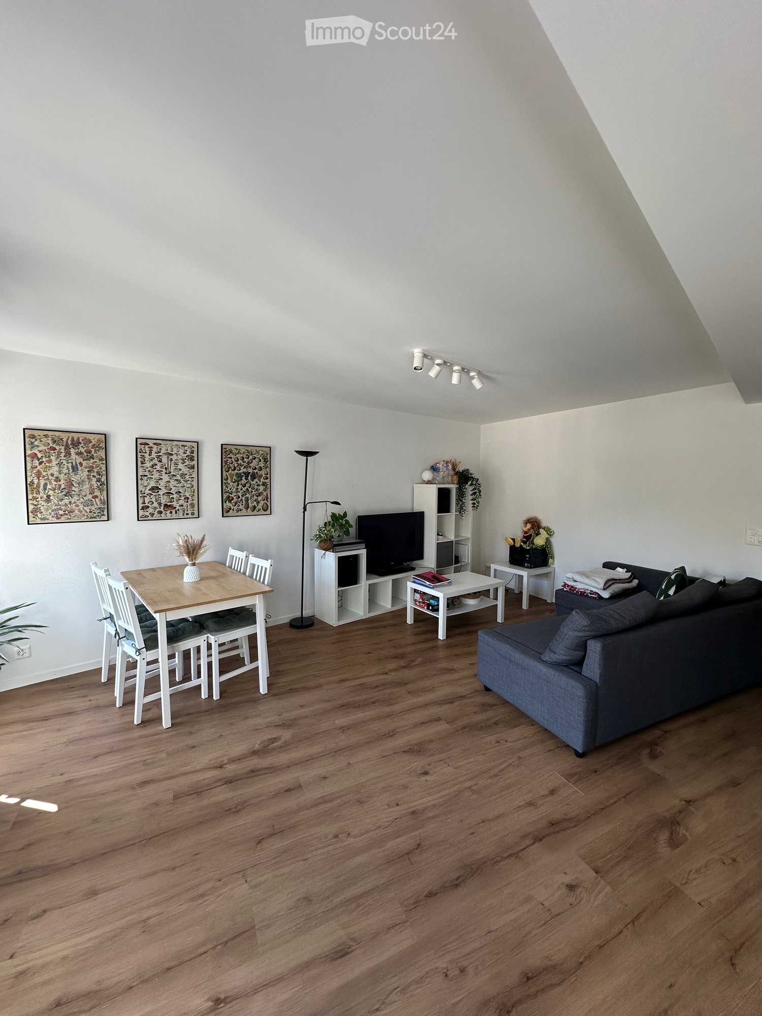 Modern living room with wooden flooring, white walls, and large windows. Features a grey sofa, coffee table, dining table with chairs, TV, and decorative plants.