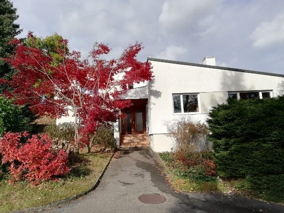 Modern single-story house with white exterior, large windows, and a small porch. Red-leaved trees and shrubs surround the entrance.