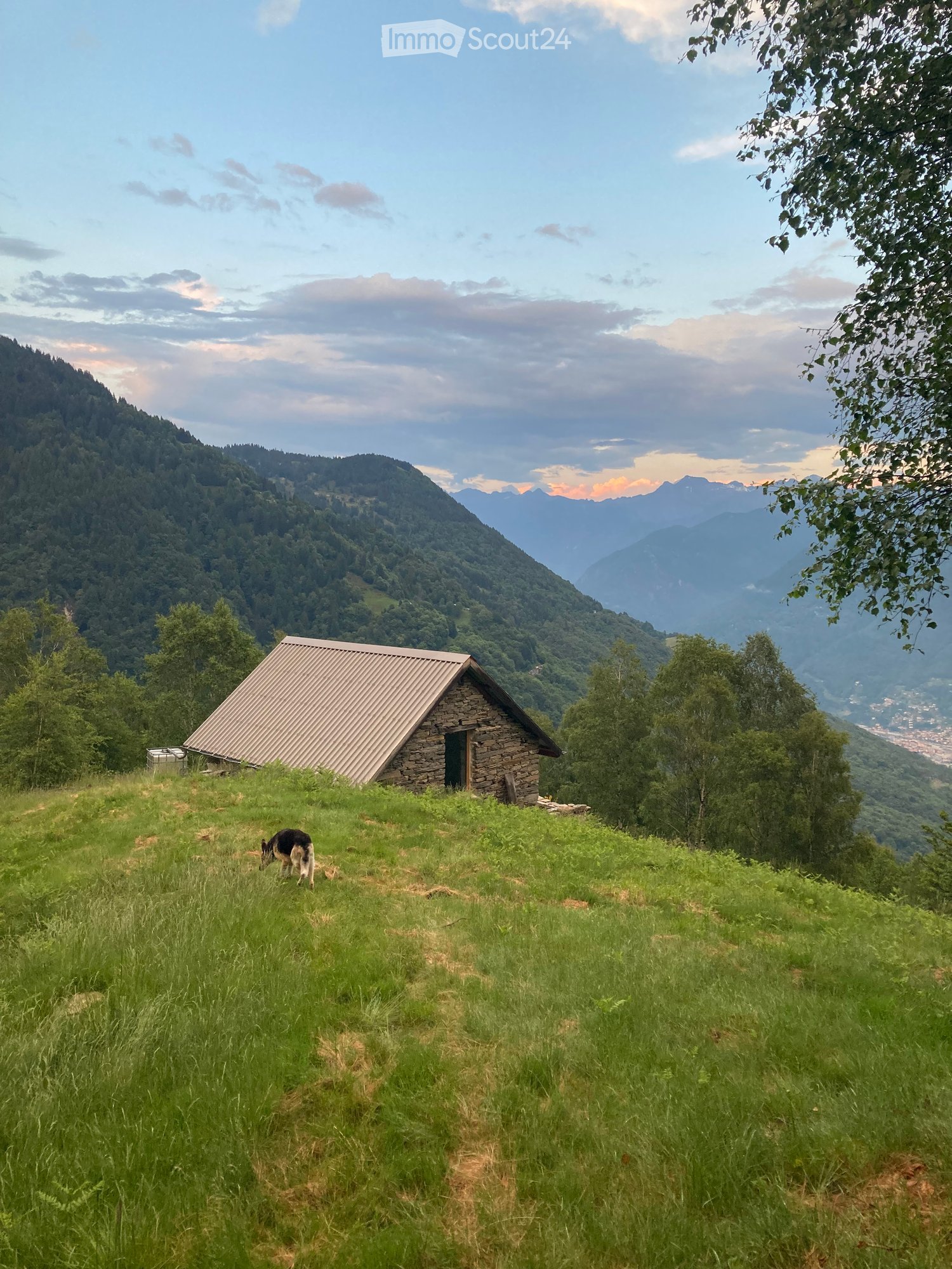 A small stone house with a metal roof sits on a grassy hillside, surrounded by trees and mountains.