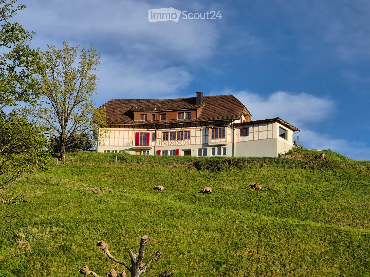 Two-story house, brown roof, red shutters, white walls with brown wooden accents, surrounded by a grassy hill, trees in the foreground