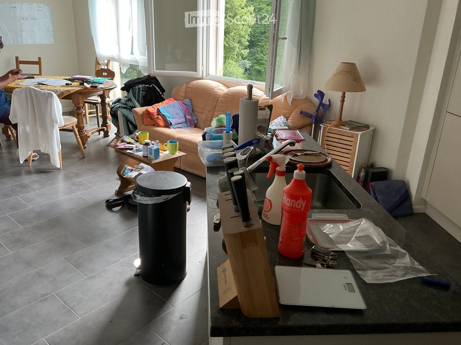 A cluttered room with a sofa, a small table, a sink, and various items scattered around, including cleaning supplies and a lamp.