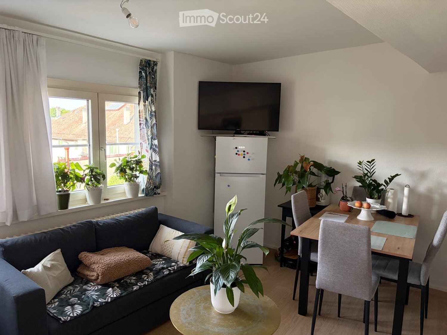 A cozy living and dining area with a blue sofa, coffee table, dining table with chairs, refrigerator, television, and several potted plants.