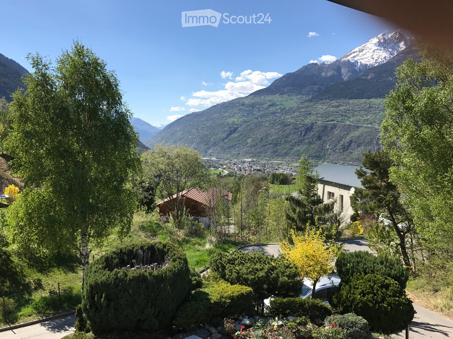 Garden with trees, bushes, and a view of the mountains