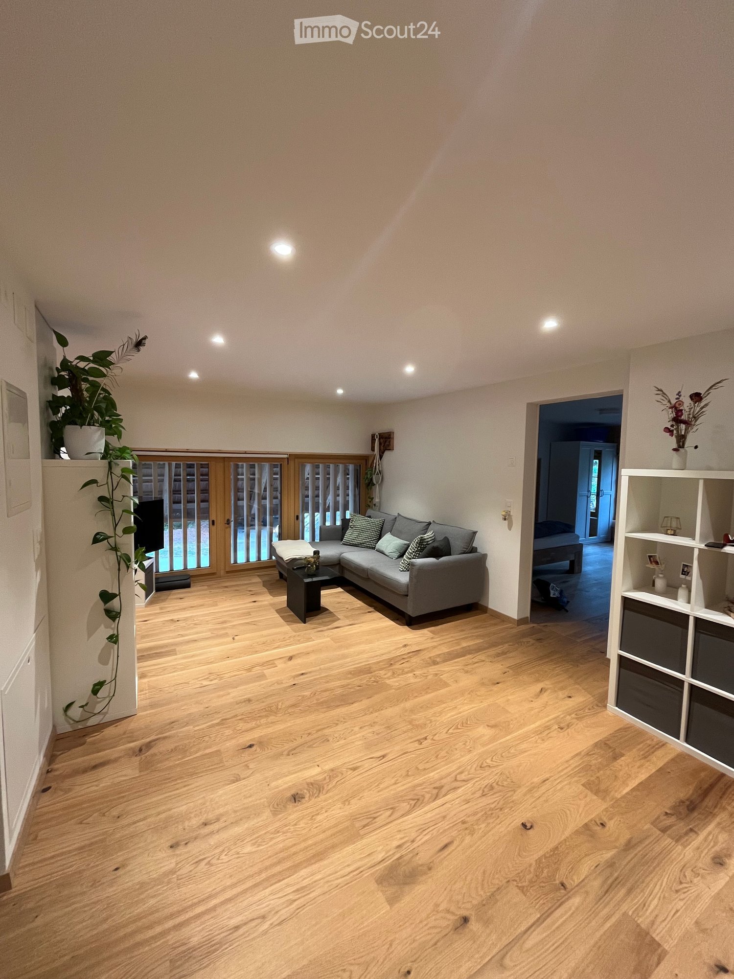 Modern living room with light wooden flooring, grey sectional sofa, coffee table, shelving unit, and plants.