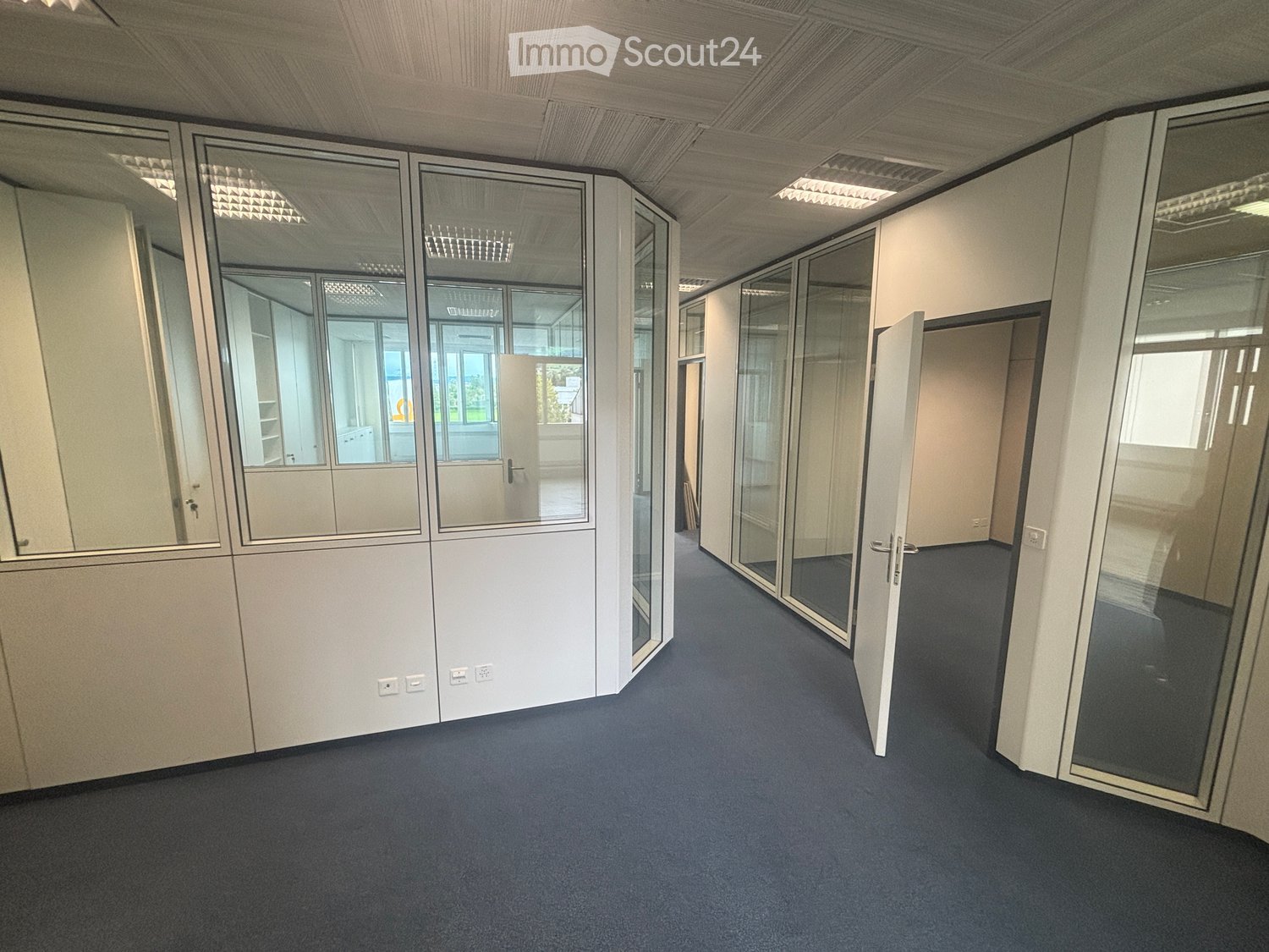 Empty office room, glass walls and doors, black carpet, white walls and ceiling, electrical outlets on the wall, ceiling lamps.