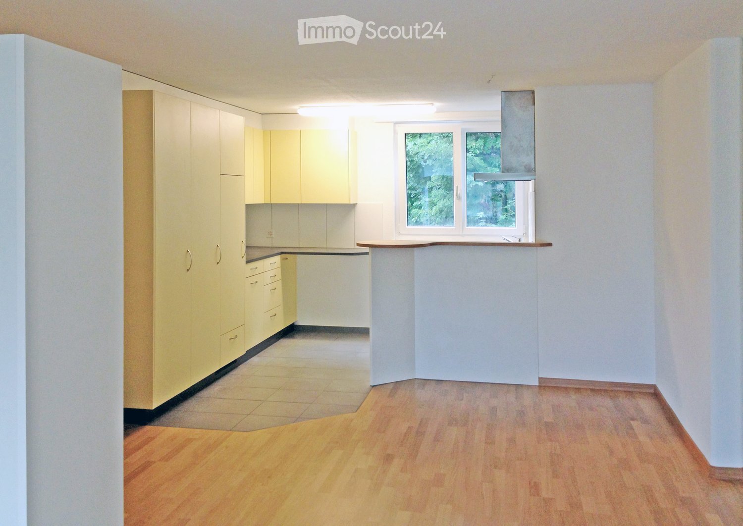 Empty kitchen area with light-colored cabinets, a countertop, and wooden flooring. The space is clean and unfurnished, with no appliances or furniture visible.