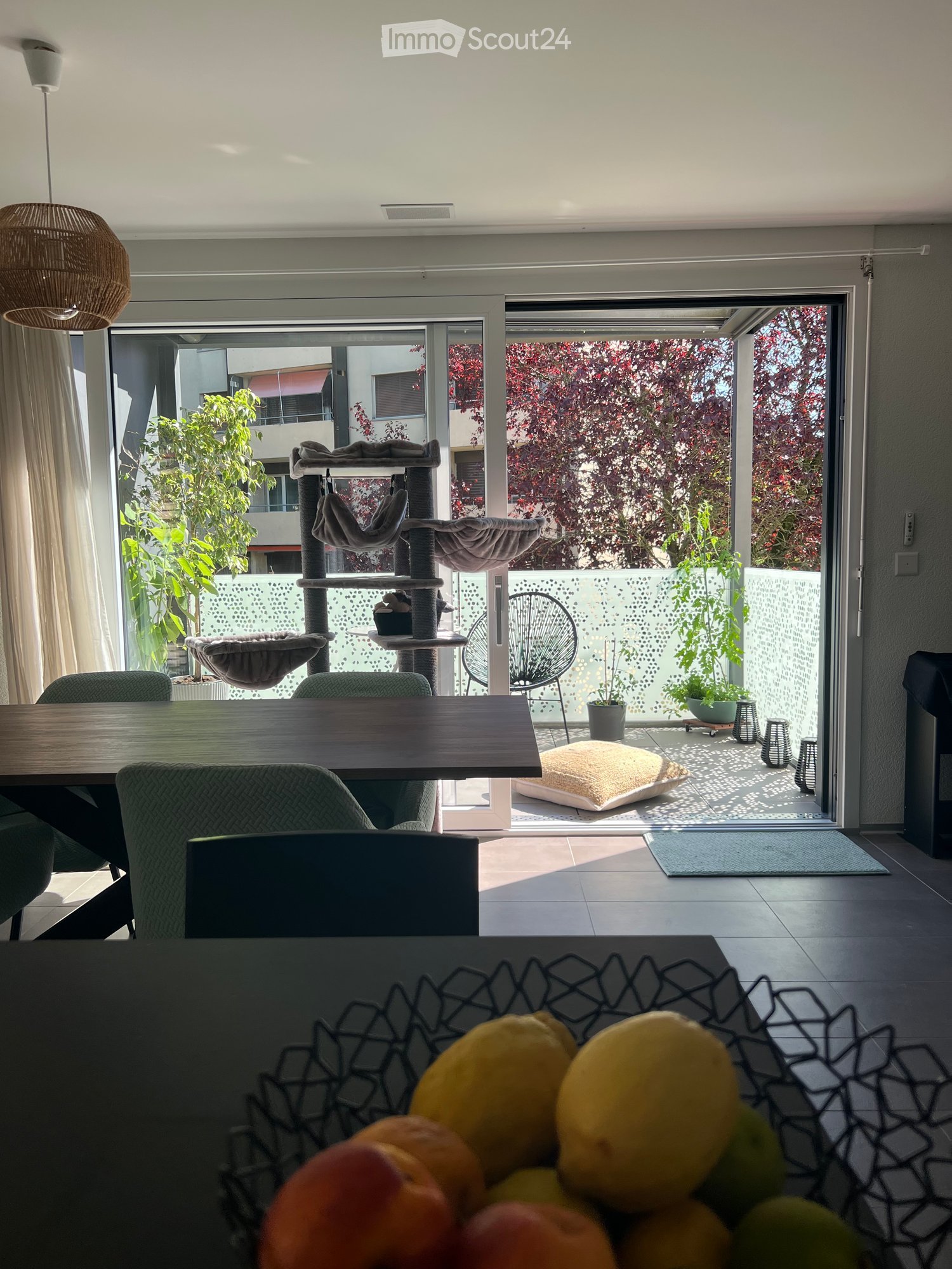 {"visible_features": ["Balcony / Terrace"], "type": "Furnished Room", "objects": ["table", "chair", "cat tree", "stool", "stool", "stool", "stool", "stool", "stool", "stool", "stool", "stool", "stool", "stool", "stool", "stool", "stool", "stool", "stool",